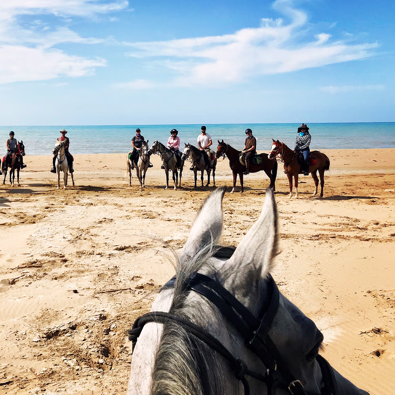 Riders and horses on a Sicilian beach