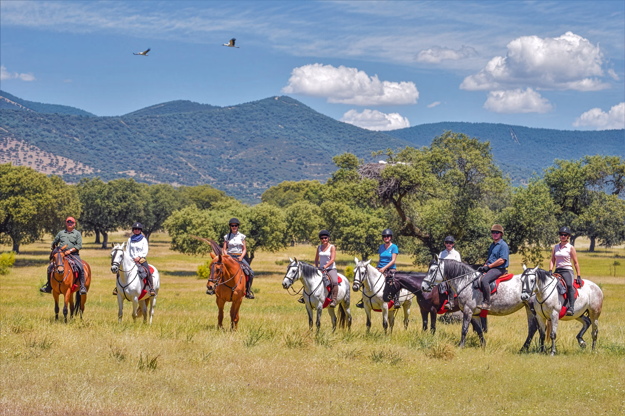 Un groupe de cavaliers et de chevaux lors d’une randonnée équestre en Espagne.