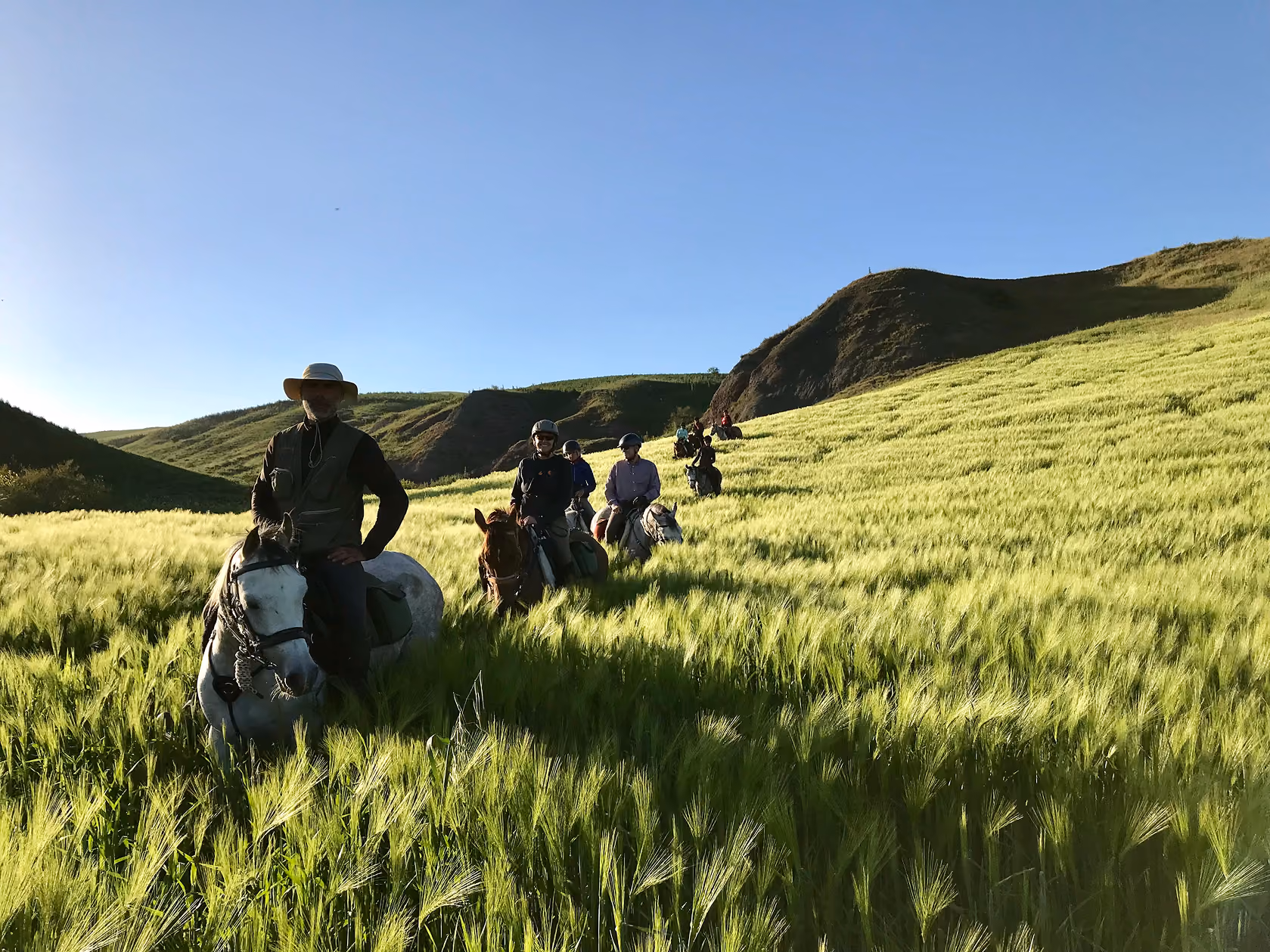 Un groupe de cavaliers et leur guide progressent au milieu d'un champ de hautes herbes vertes, les montagnes de Sicile en fond.