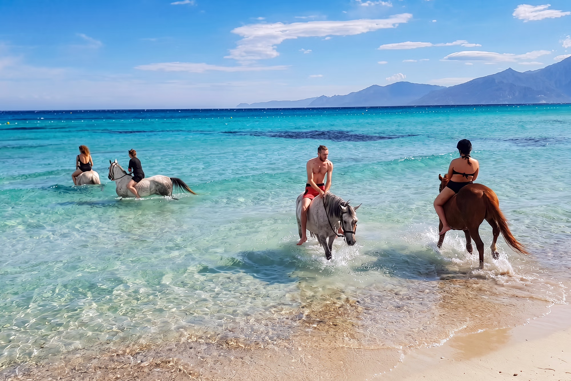 Un groupe de quatre cavaliers a cheval se baignent avec leurs chevaux dans une eau cristalline d'une plage Corse.