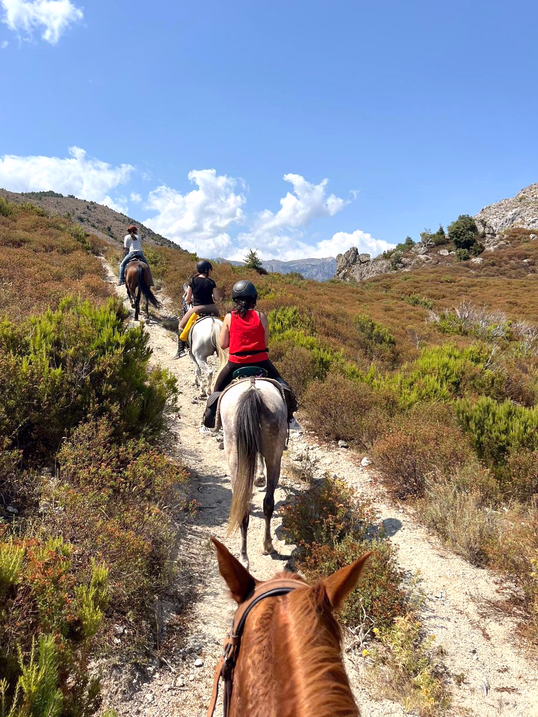 Un groupe de cavaliers suivant un sentier en pente douce à travers la campagne Corse.