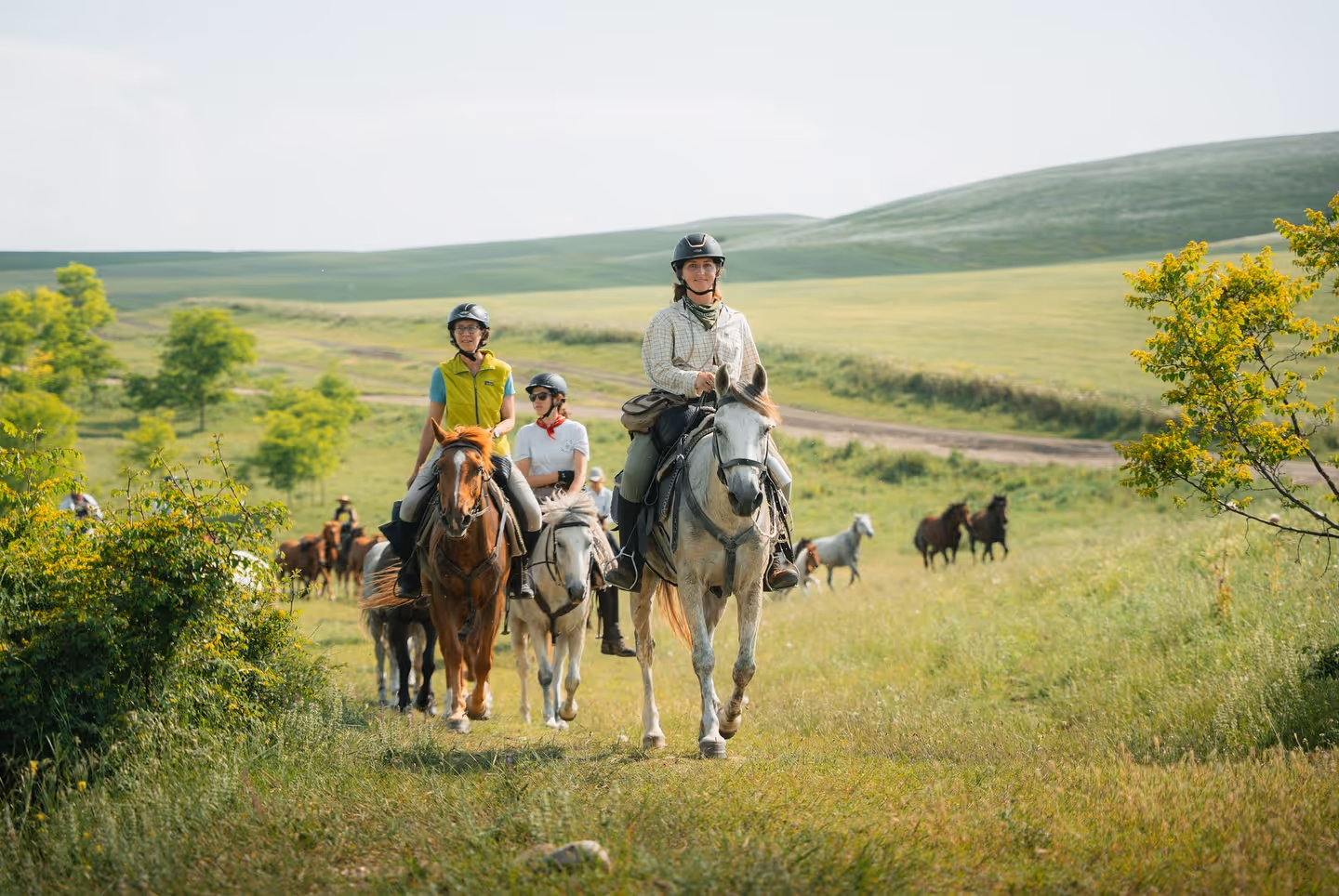 Un groupe de cavaliers souriants progresse dans une vaste vallée herbeuse avec des chevaux en liberté qui les suivent en Géorgie.
