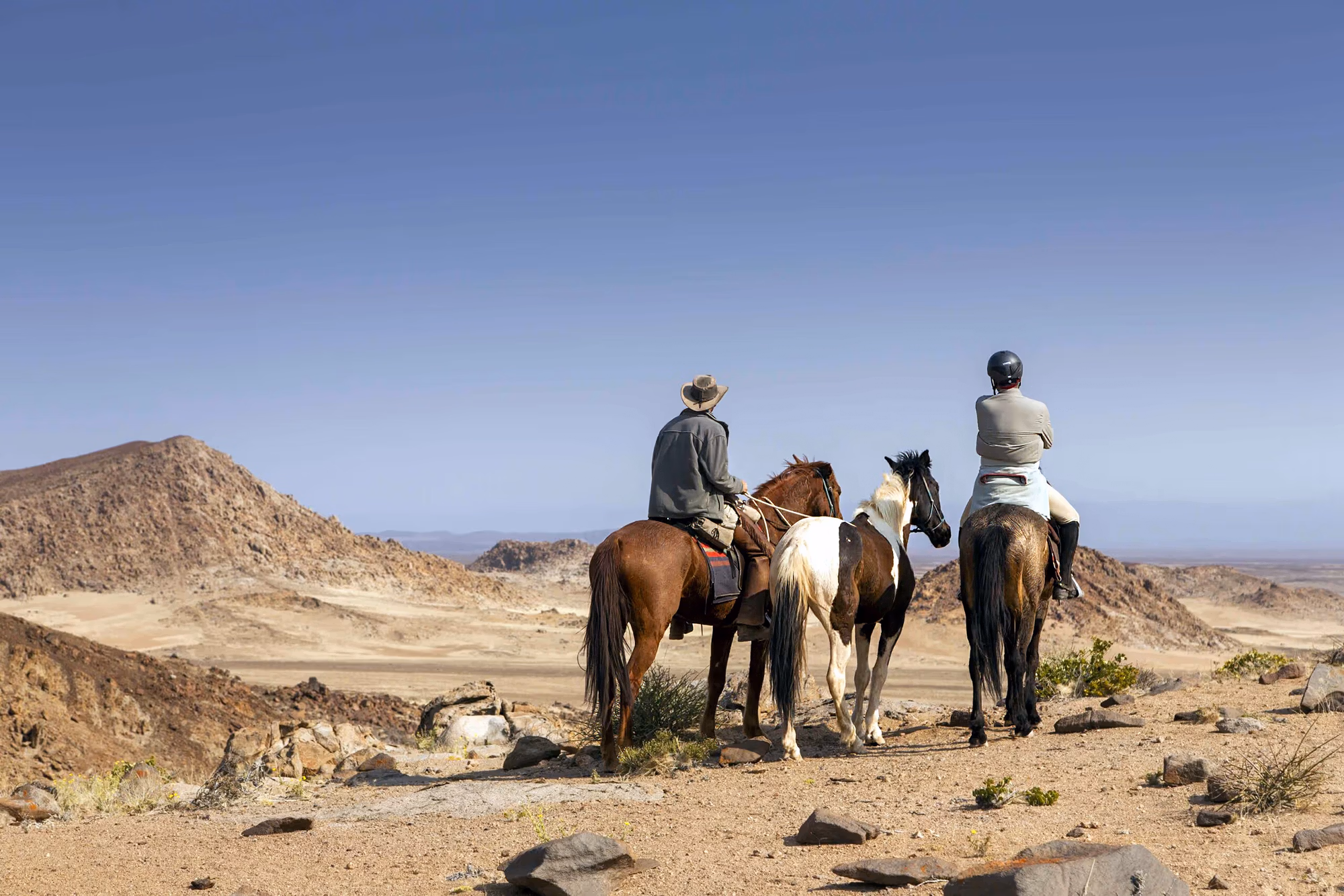 Vue de dos de deux cavaliers avec quatre chevaux face à un vaste paysage désertique.