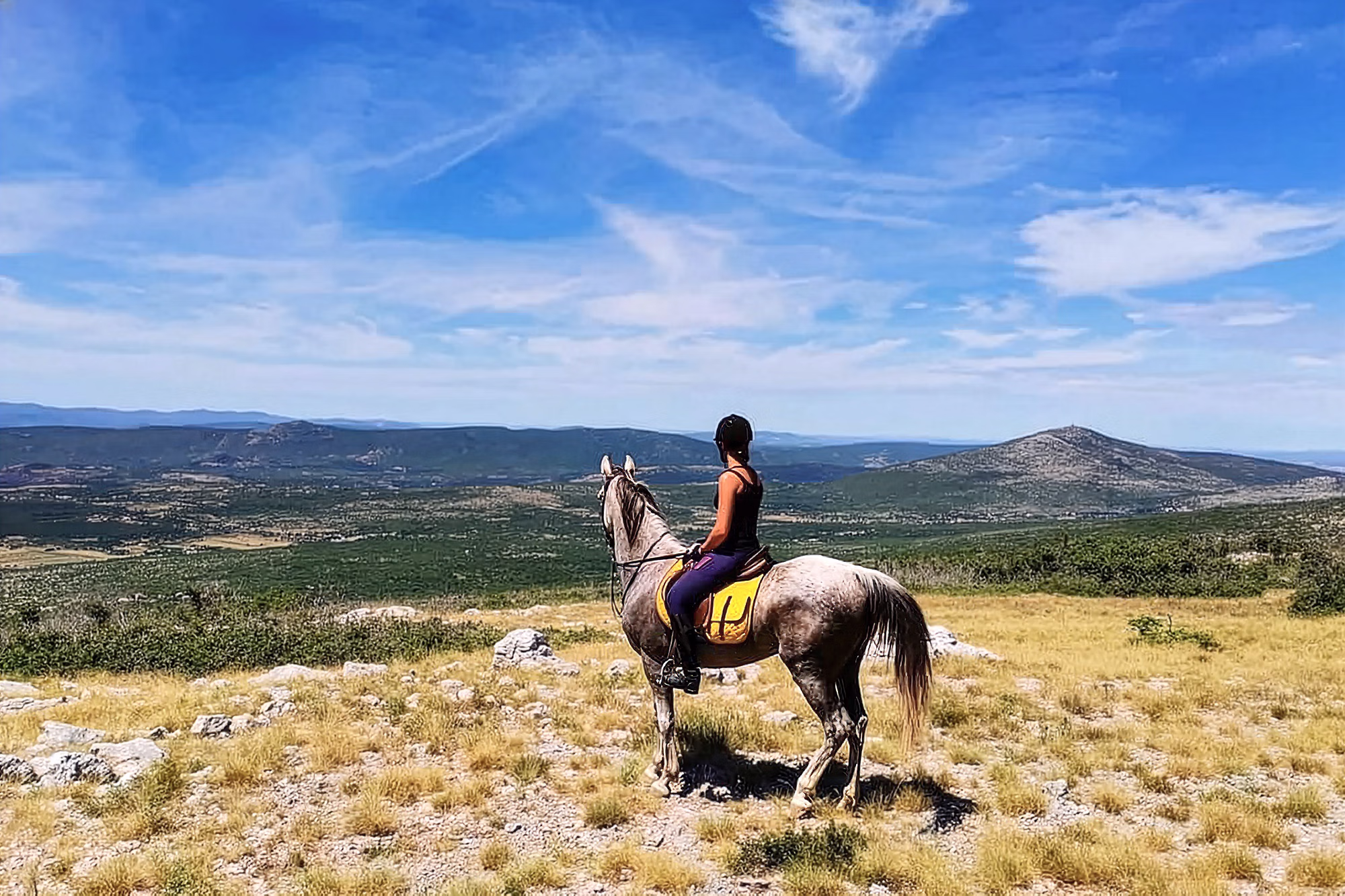 Une cavalière à cheval, assise au sommet d’une colline, admire une vue panoramique.