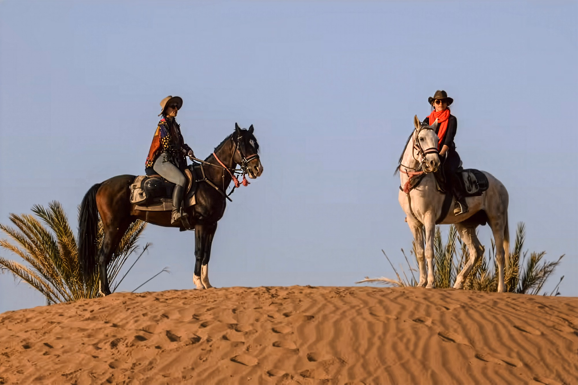 Deux cavaliers sur une dune de sable, avec des palmiers en arrière-plan lors d’une randonnée au Maroc.