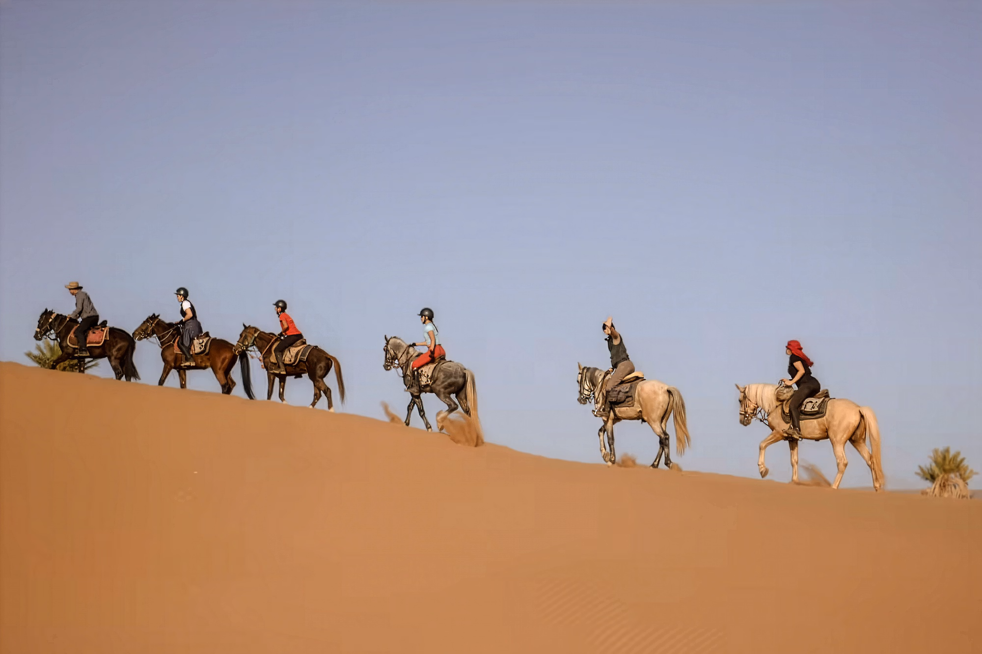 Un groupe de cavaliers au loin sur la crête d’une dune du Sahara, évoquant une caravane dans le désert.