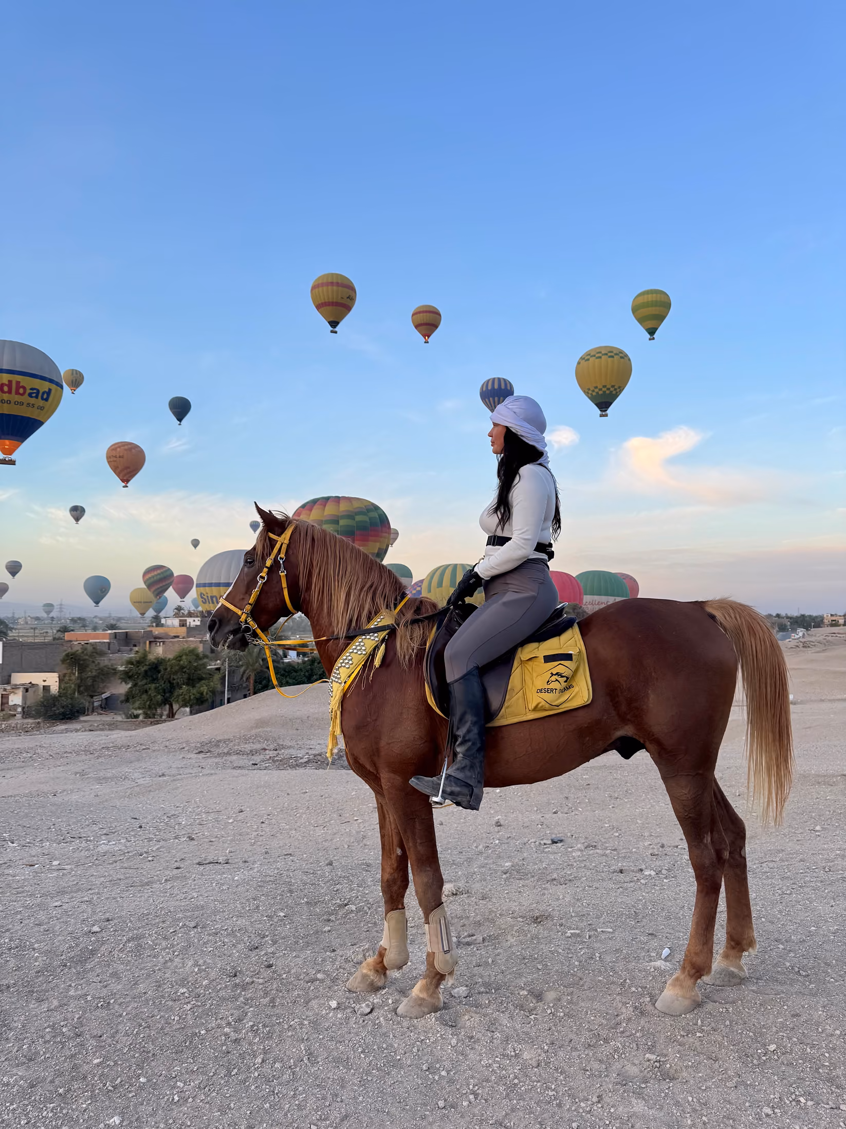 Une cavalière à cheval devant des montgolfières survolant le paysage égyptien.