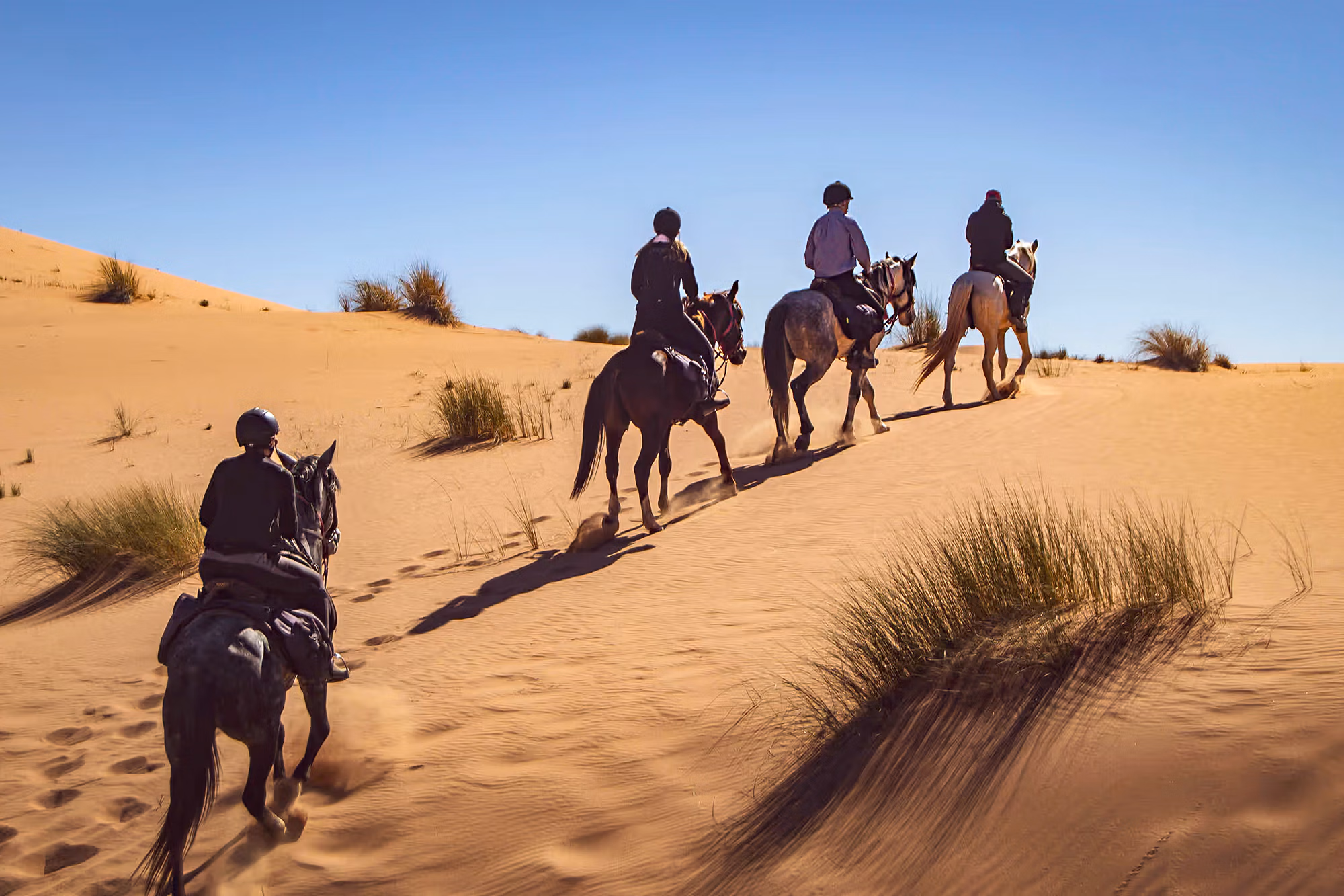 Vue de dos de quatre cavaliers gravissant une petite dune de sable.
