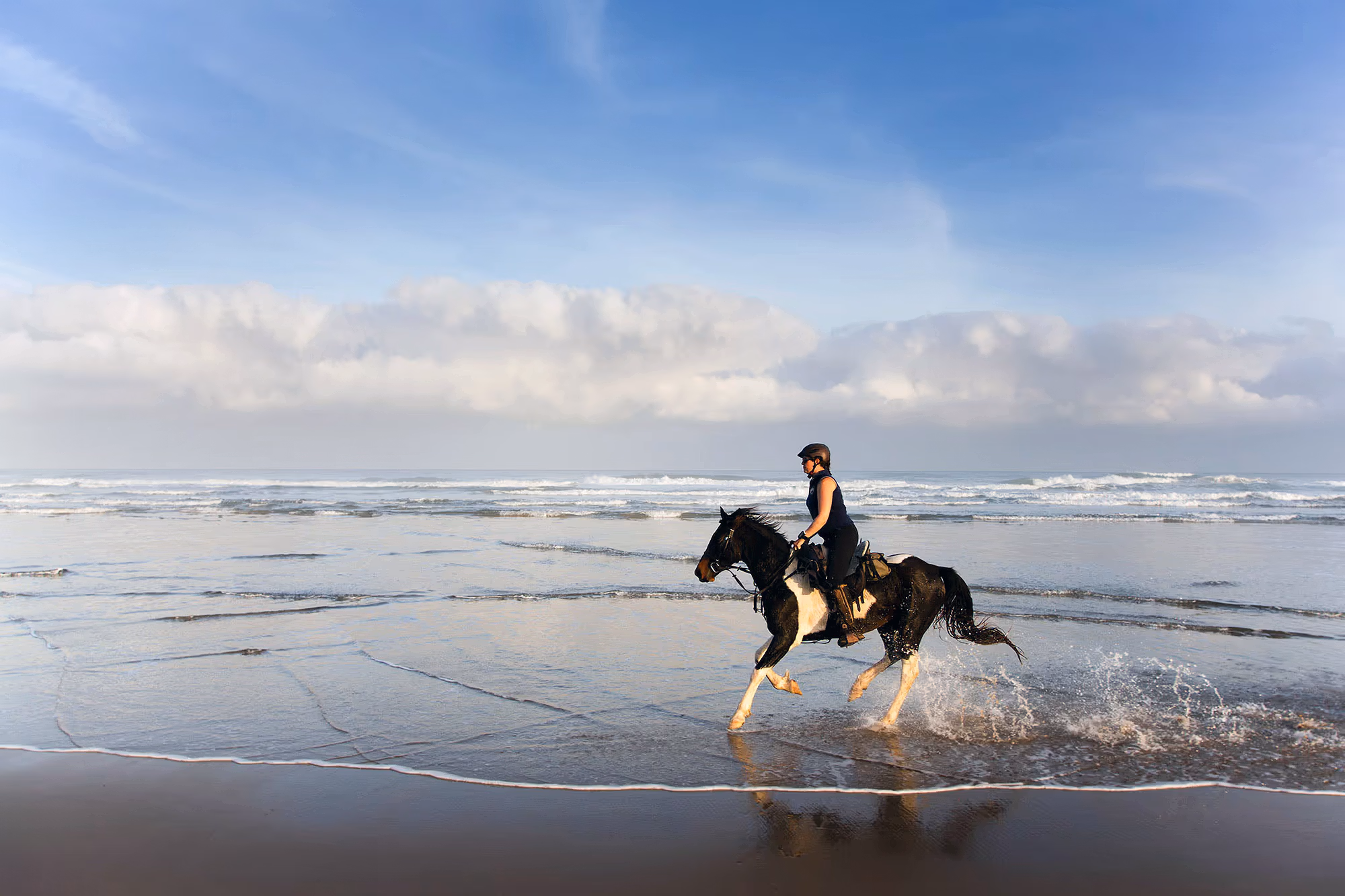 Un cavalier galope dans les eaux peu profondes le long d’une grande plage de sable.