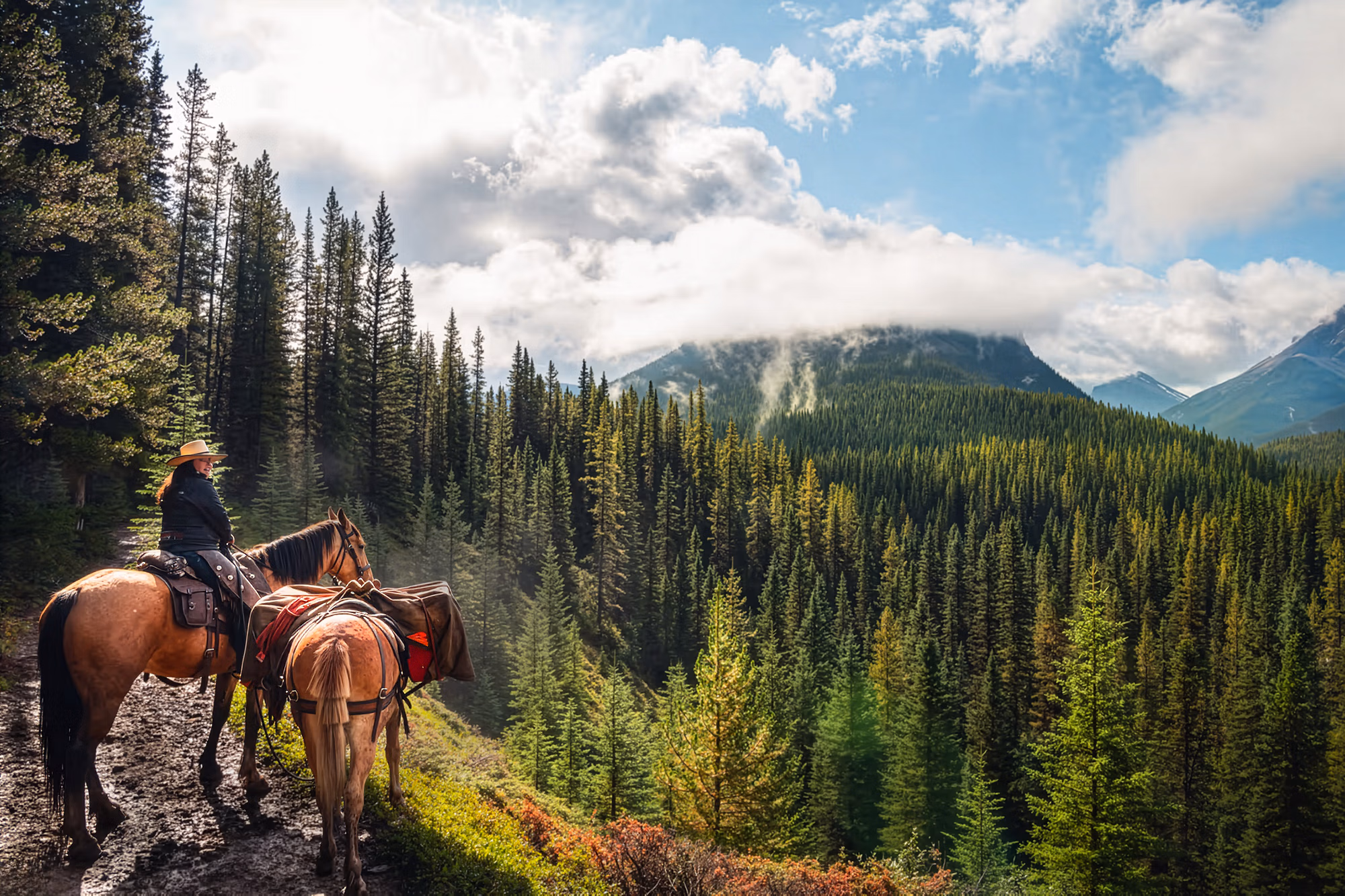 Une cavalière à cheval sur un point de vue en montagne, contemplant les forêts denses de Banff et les sommets escarpés.