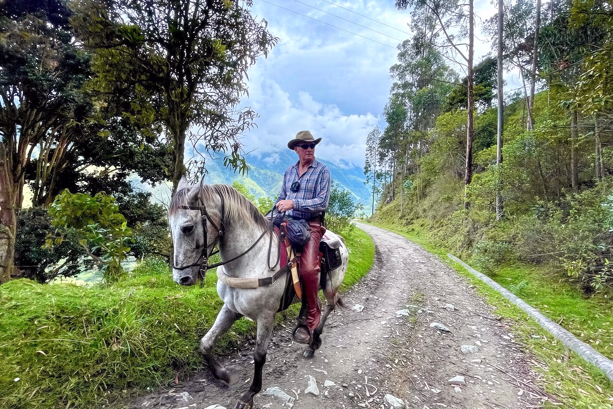 Un cavalier traverse un sentier forestier verdoyant, avec les collines de la région caféière de Risaralda en arrière-plan.
