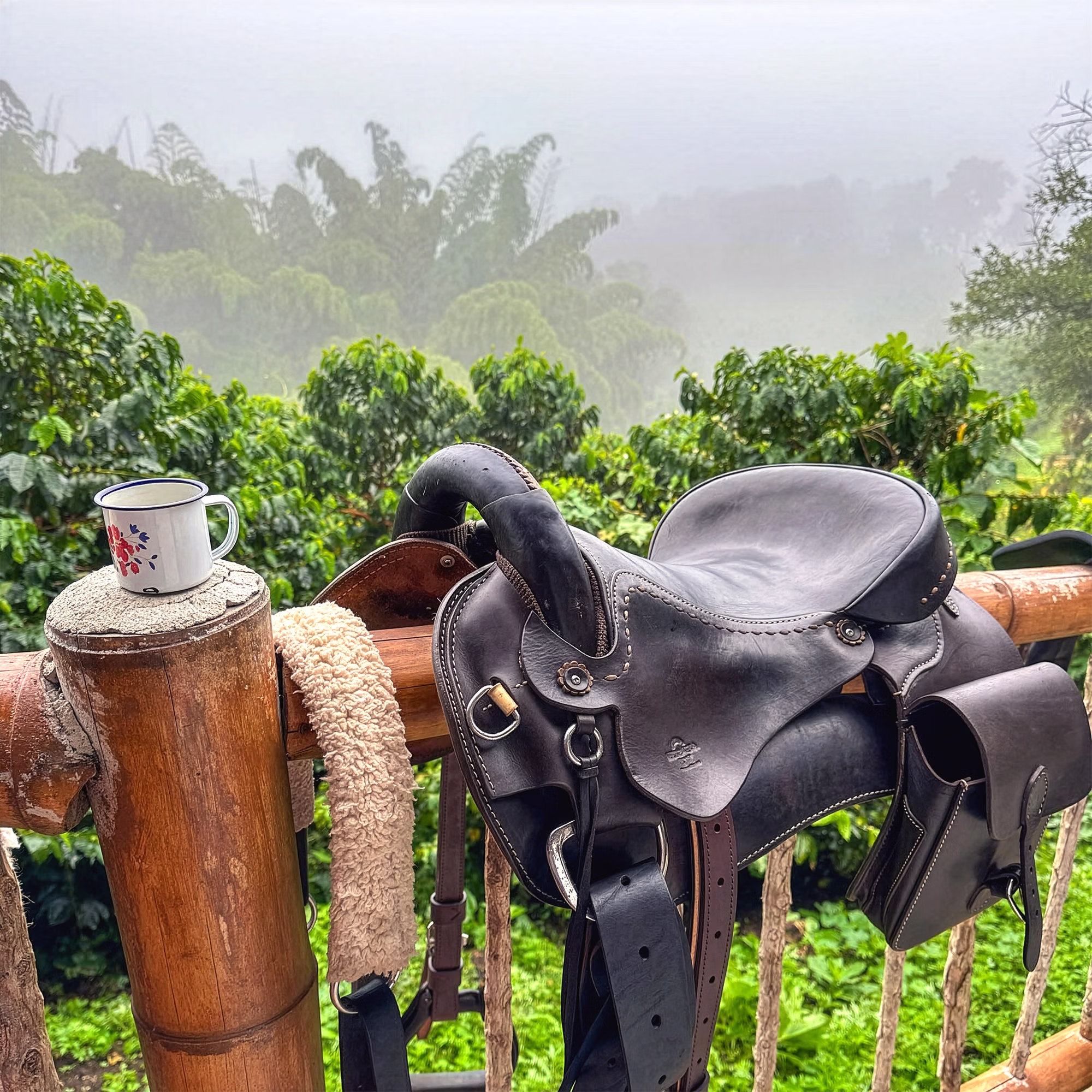 Une selle d’équitation traditionnelle en cuir posée sur une clôture en bois rustique.