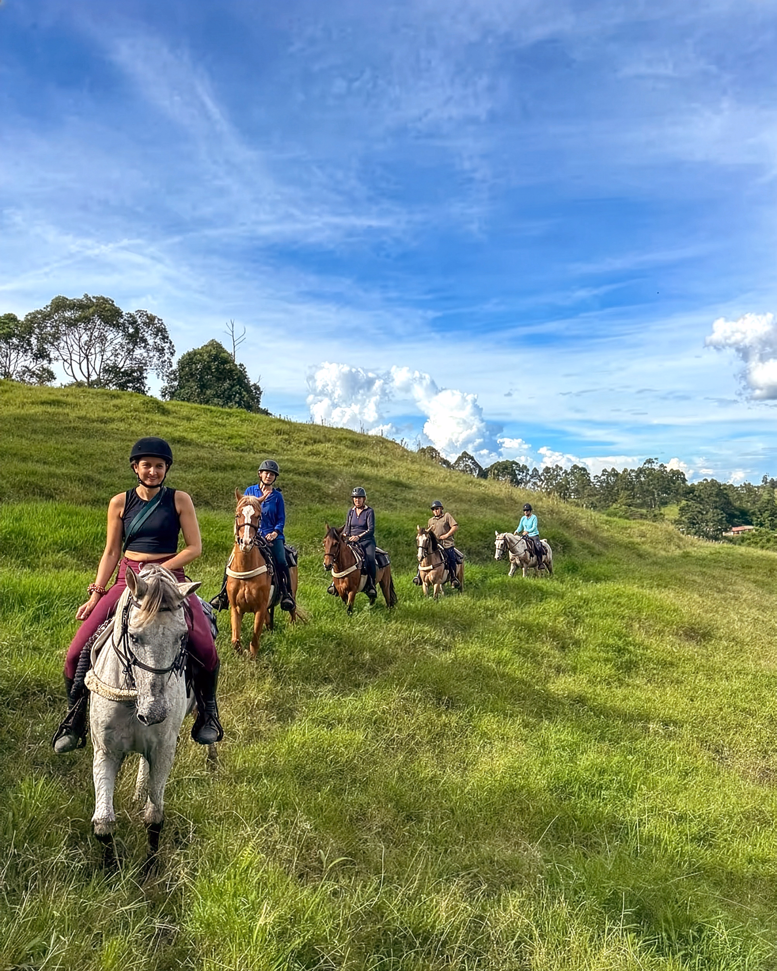 Une file de cavaliers traverse des collines verdoyantes couvertes d’herbe luxuriante.