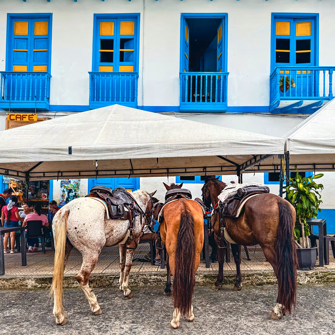 Plusieurs chevaux de randonnée attachés dans la rue devant un restaurant d’une petite ville.