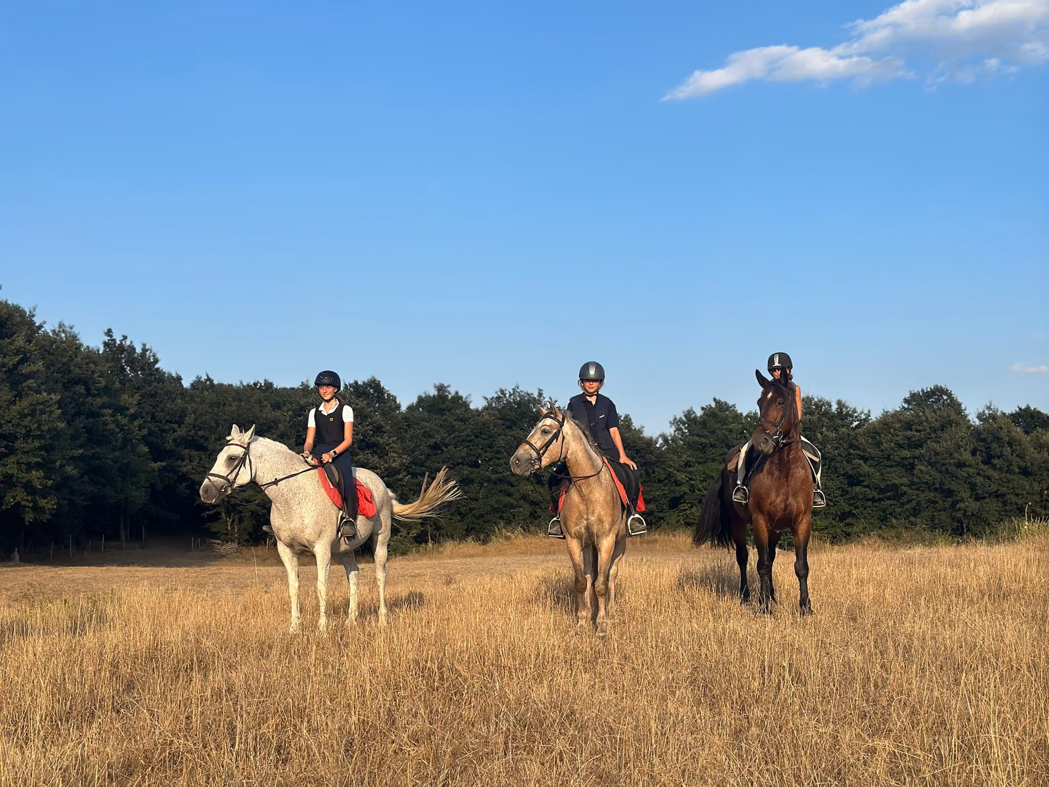 Trois cavaliers posent dans un champ en Toscane.