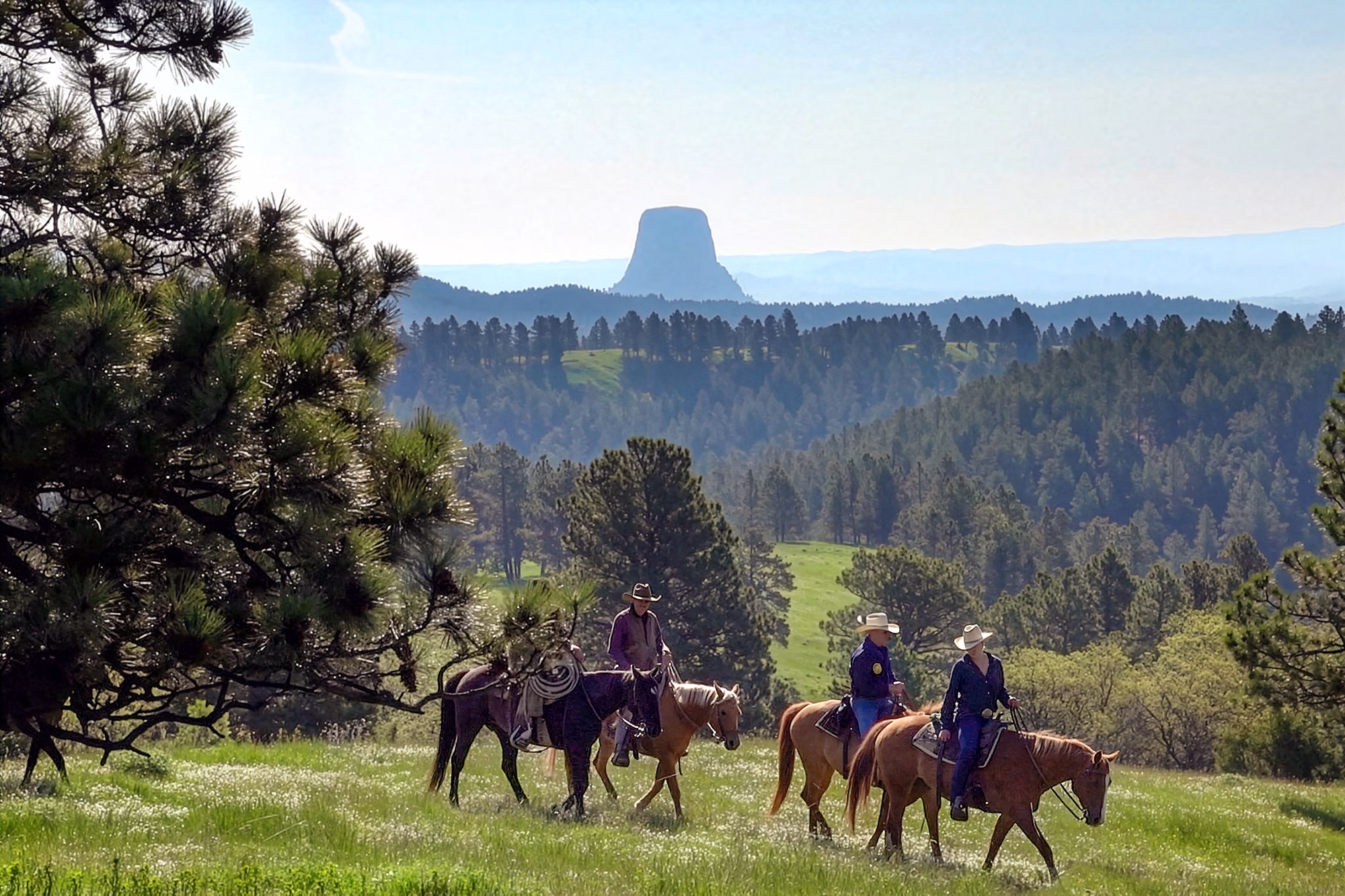 Un groupe de cavaliers traverse une prairie verdoyante, avec l’emblématique Devils Tower s’élevant en arrière-plan.