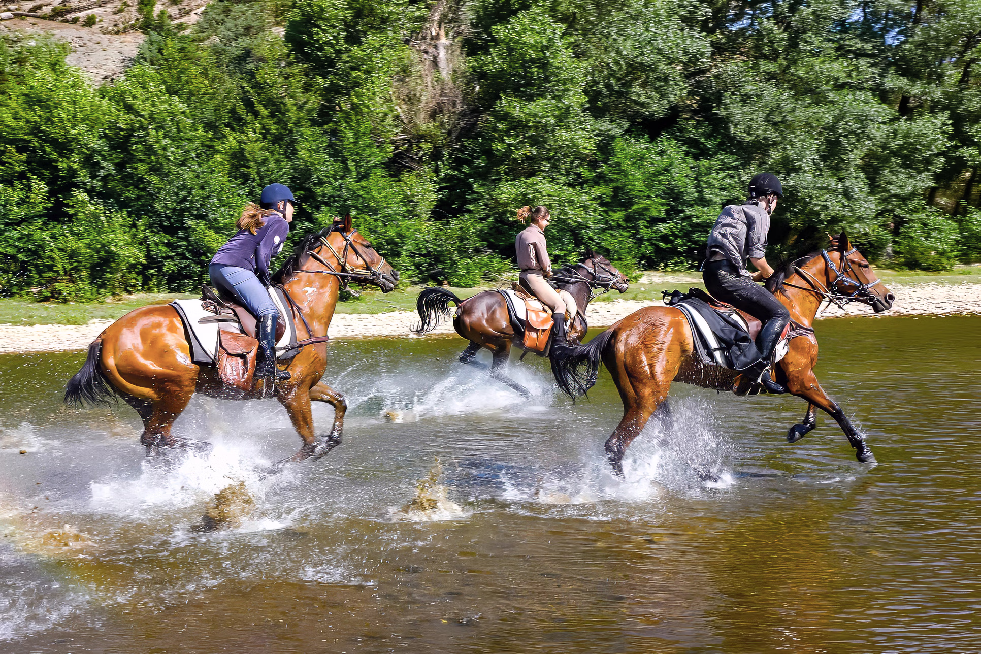 Une photo d’action de trois cavaliers galopant côte à côte dans une rivière tumultueuse lors d’un séjour d’aventure en Bulgarie.