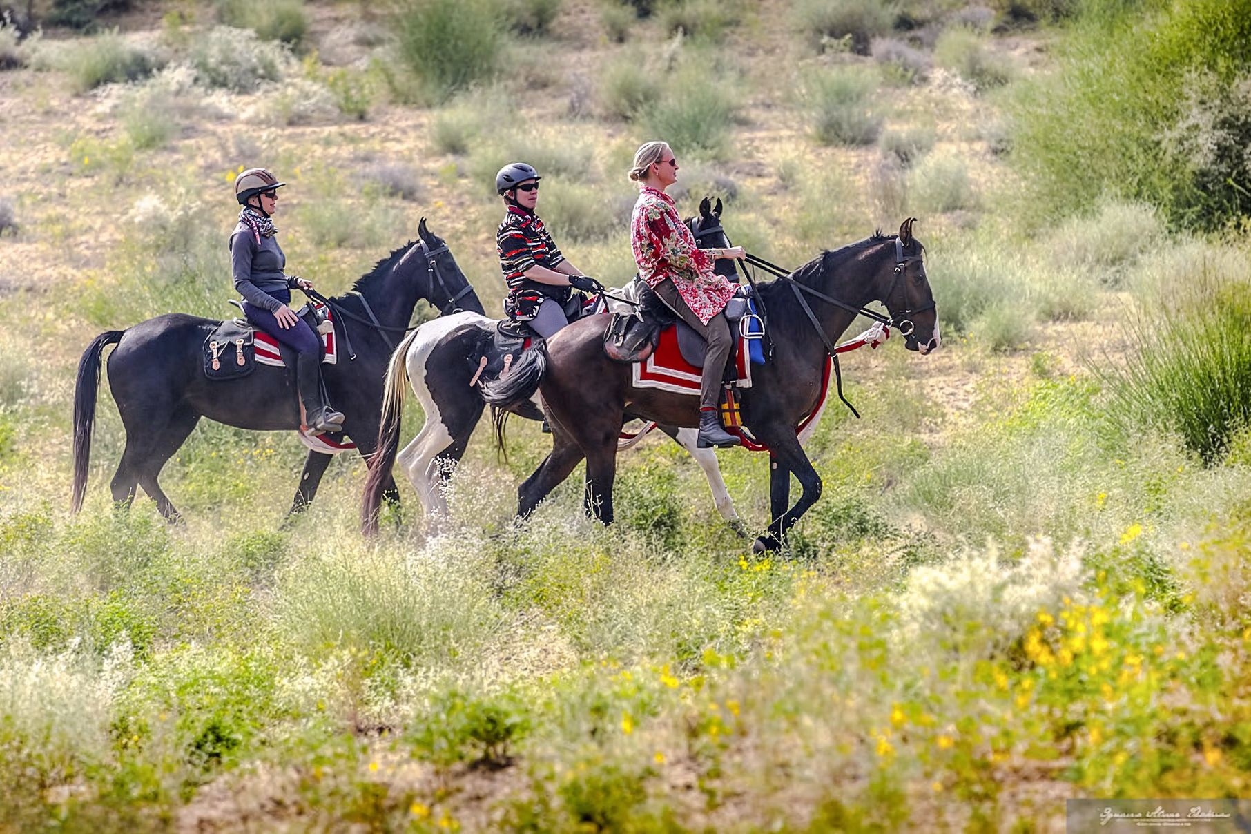 Trois cavaliers traversent de hautes herbes avec leurs chevaux lors d’un safari équestre.