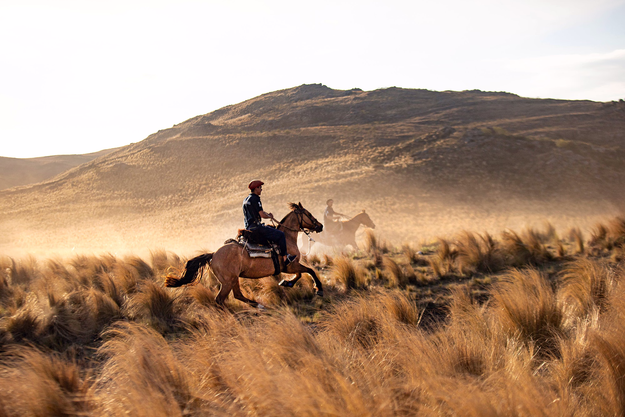 Deux cavaliers portant des chapeaux de gaucho soulèvent la poussière en traversant les herbes sèches et dorées.
