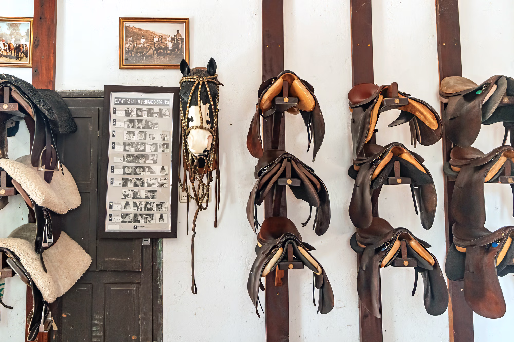 Une sellerie rustique avec plusieurs selles d’équitation en cuir suspendues en rangée contre un mur.