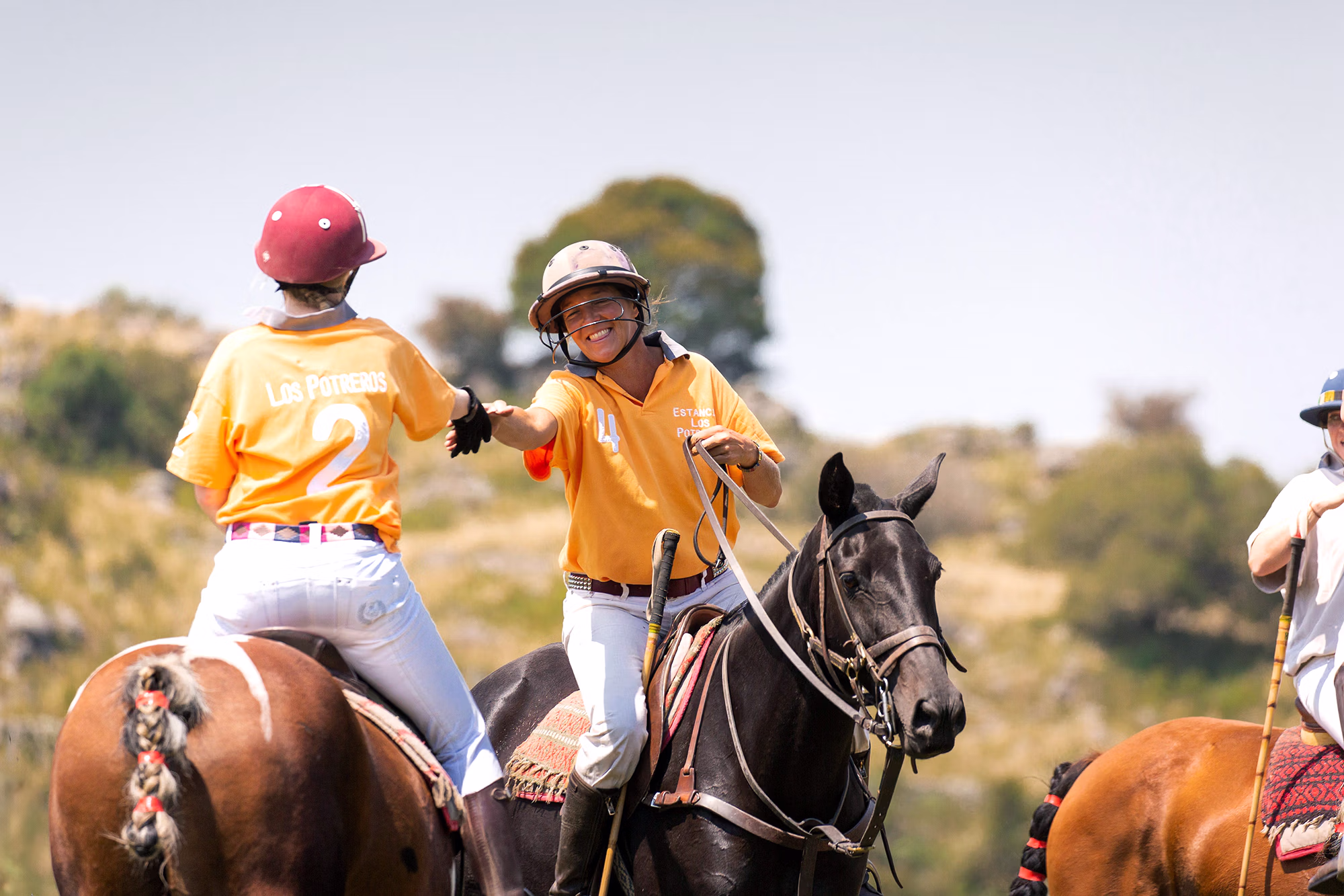Deux joueurs de polo à cheval se serrent la main après un match.