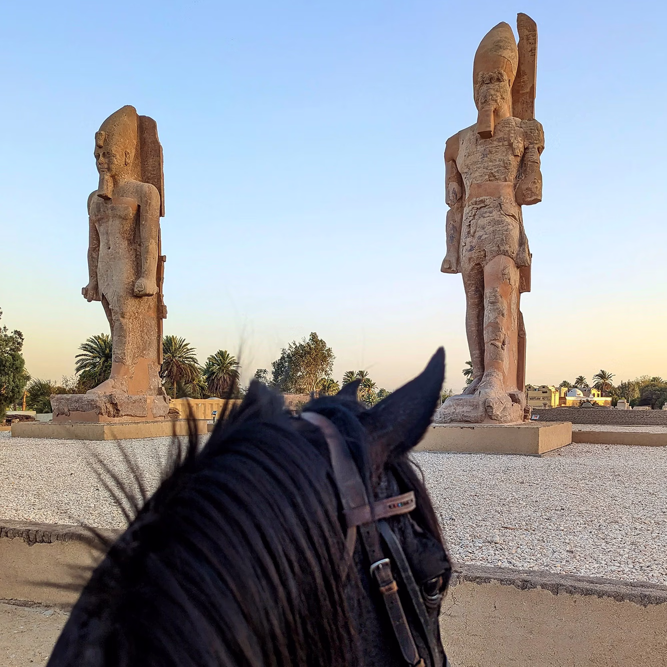 La tête d’un cheval noir encadre une vue sur les emblématiques Colosses de Memnon.
