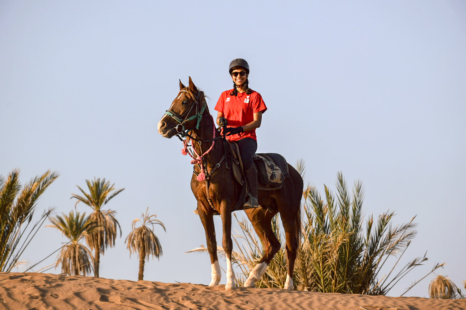 Un cavalier suit un sentier escarpé entre les palmeraies et les paysages traditionnels du sud du Maroc.