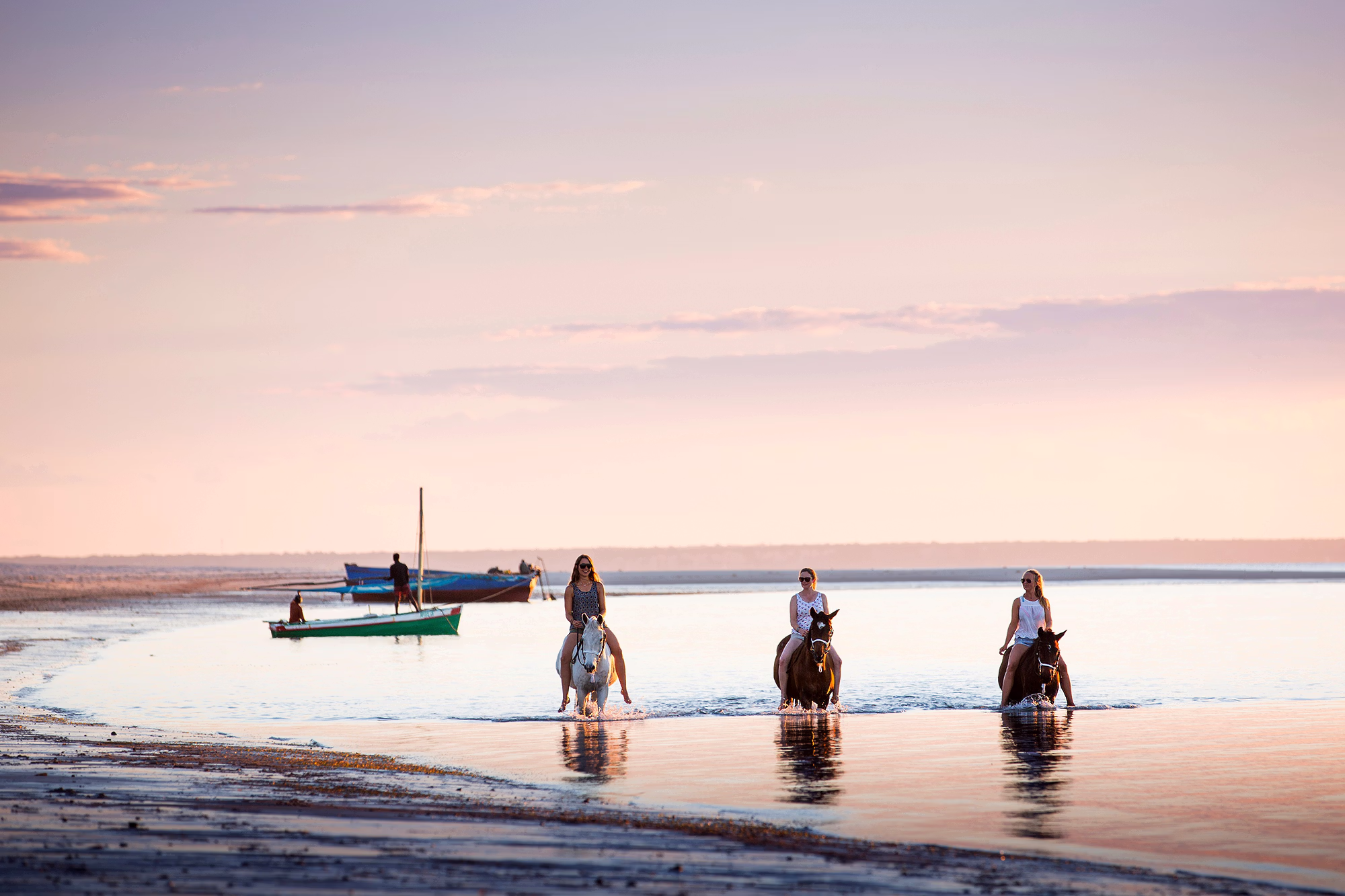 Trois chevaux avancent dans les eaux peu profondes de l’océan au coucher du soleil.