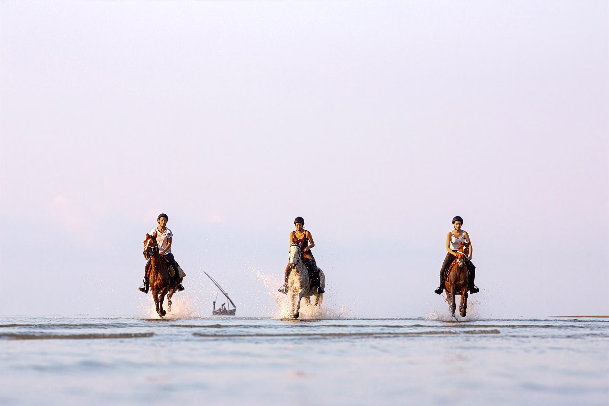 Des chevaux galopent dans les eaux peu profondes en projetant des éclaboussures vers l’objectif.