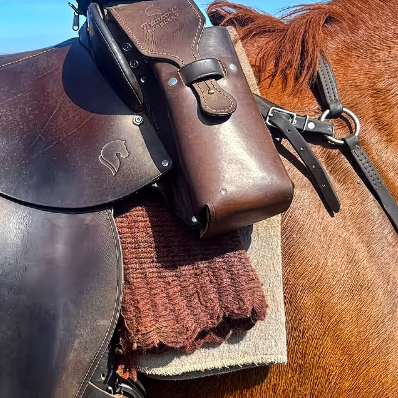 Gros plan sur une selle de randonnée posée sur un cheval brun, prêt pour une journée dans le désert.