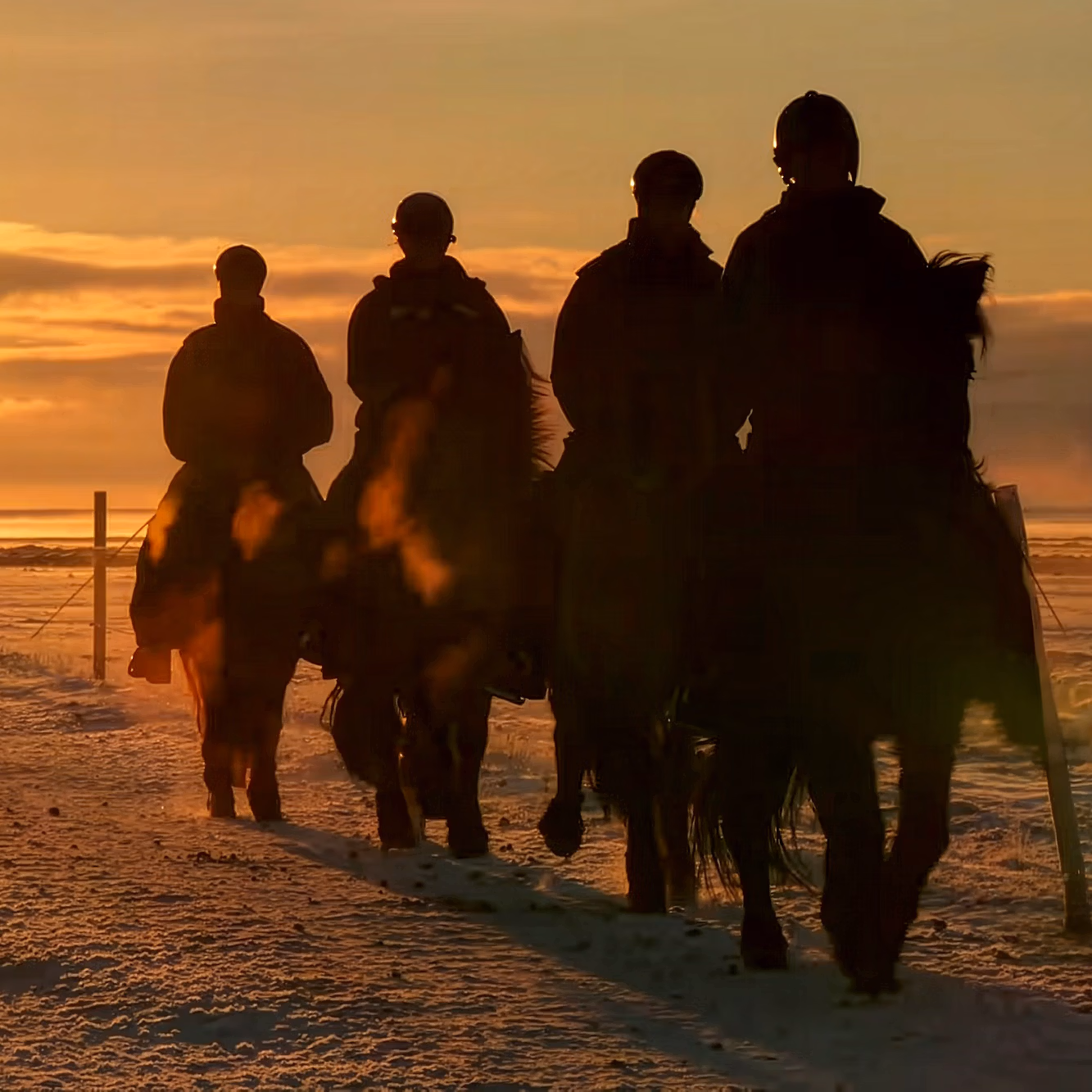 Groupe de cavaliers montant au soleil couchant lors d'une excursion équestre en Islande