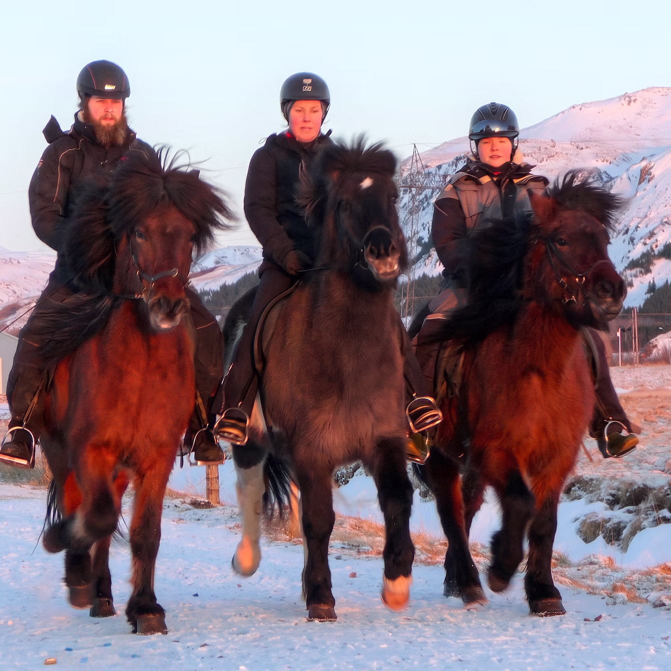 Trois cavaliers avançant à cheval sur un sentier enneigé face au soleil pendant un voyage équestre hivernal en Islande.