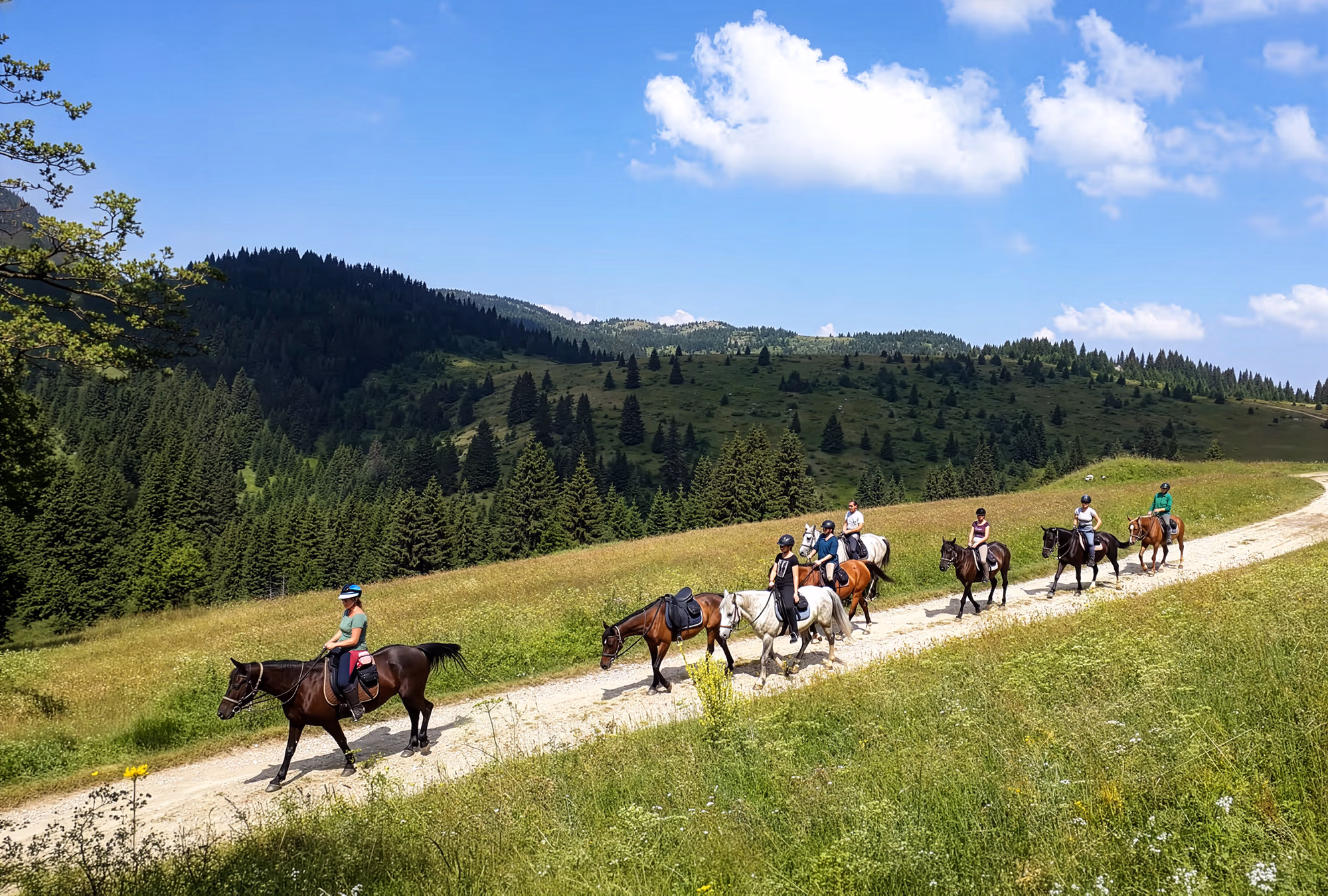 Par une journée claire et ensoleillée, un groupe de cavaliers avance en file à travers une vaste vallée verdoyante, de droite à gauche.