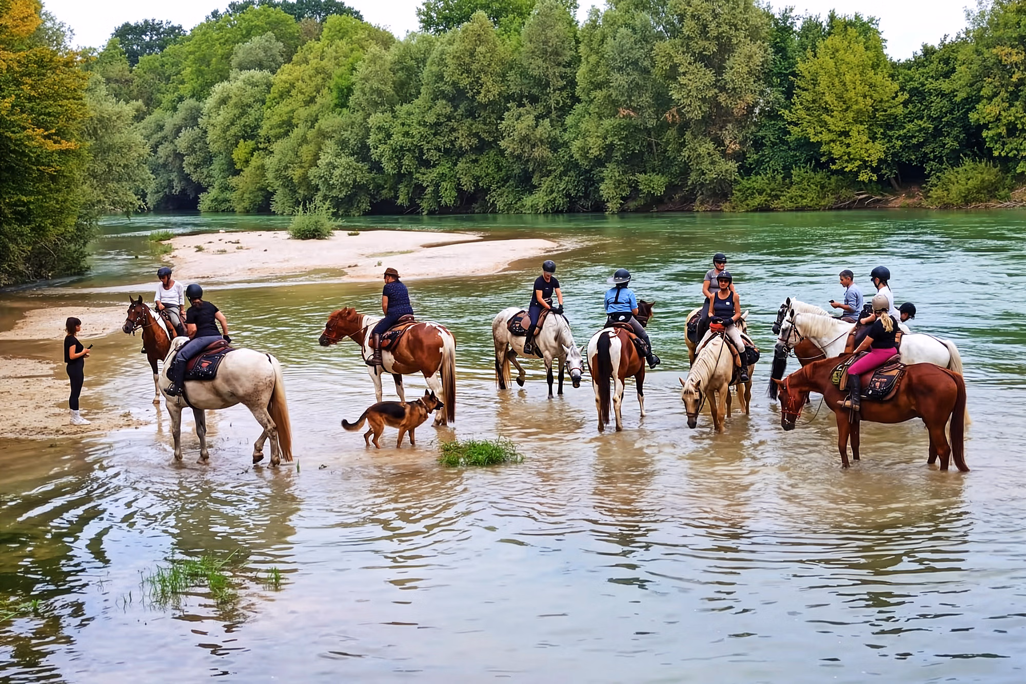 Un grand groupe de cavaliers fait une pause dans une rivière peu profonde en France, tandis que les chevaux boivent et qu’un berger allemand se tient dans l’eau.