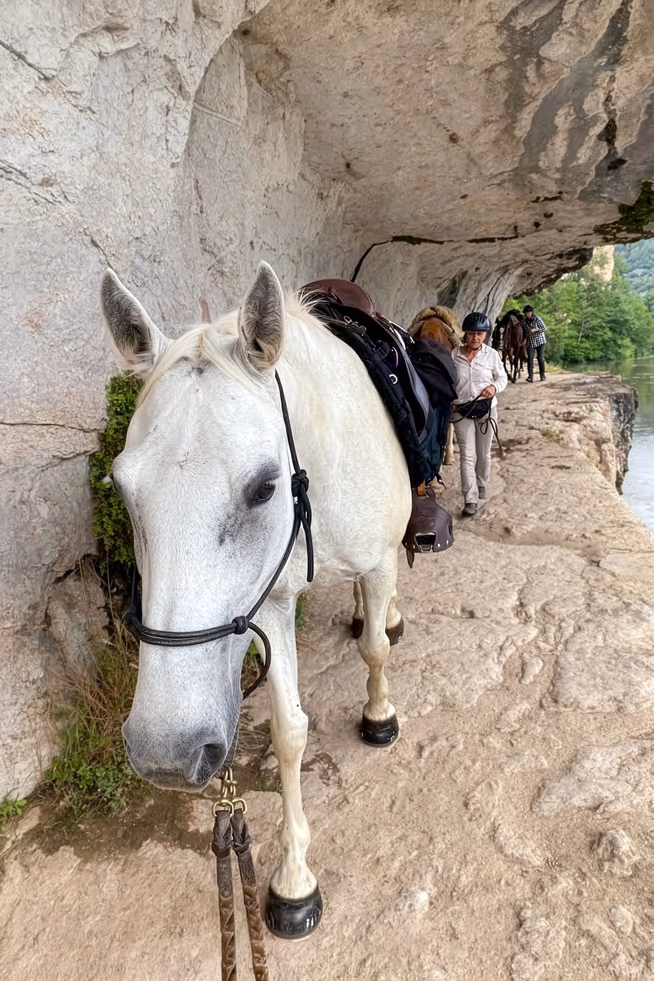 Chevaux et cavaliers avancent en file indienne sur un sentier rocheux et escarpé.