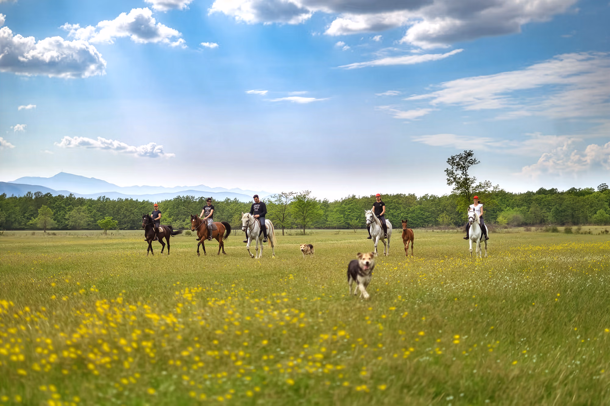 Belle vue sur les paysages de Bosnie avec un groupe de cavaliers et leurs chevaux au galop.