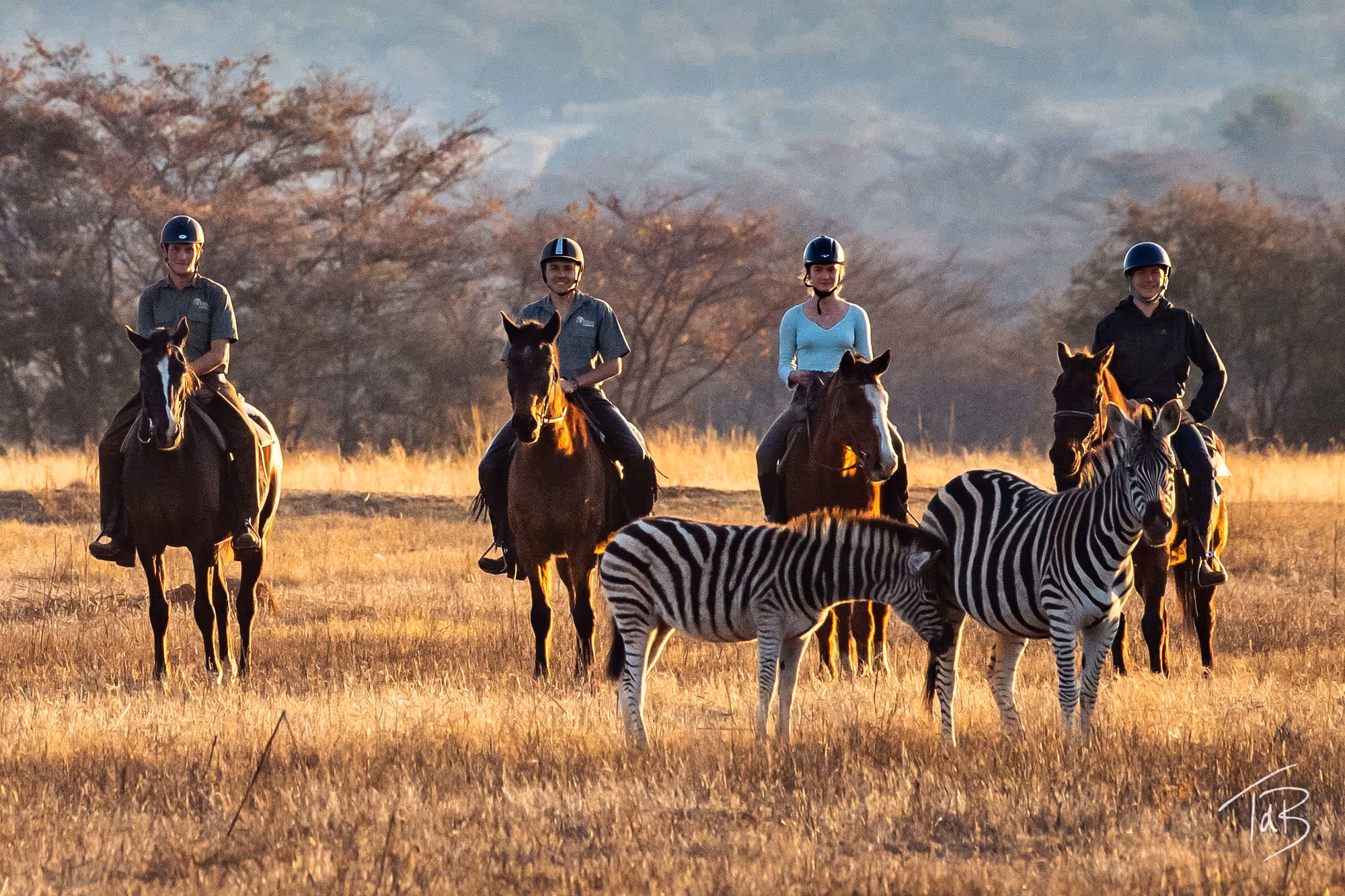 Groupe de cavaliers posant à cheval derrière un troupeau de zèbres sauvages lors d’un safari en Afrique du Sud.