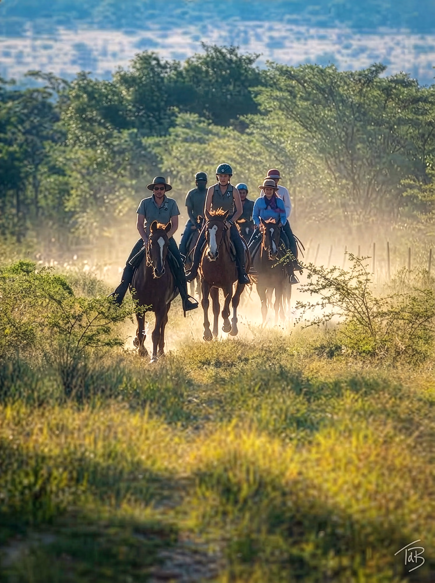 Cavaliers au galop à travers une réserve animalière en Afrique du Sud.
