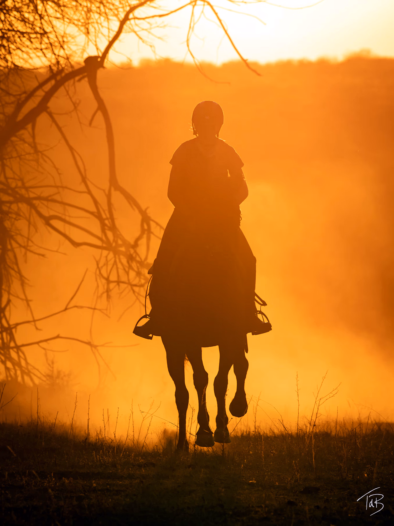 Superbe silhouette d’un cheval et de son cavalier devant la lumière spectaculaire d’un coucher de soleil.