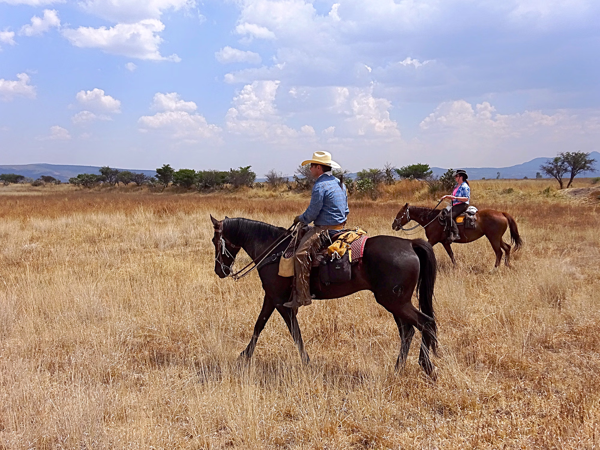 Riders on the trail Silver Route riding holiday Mexico