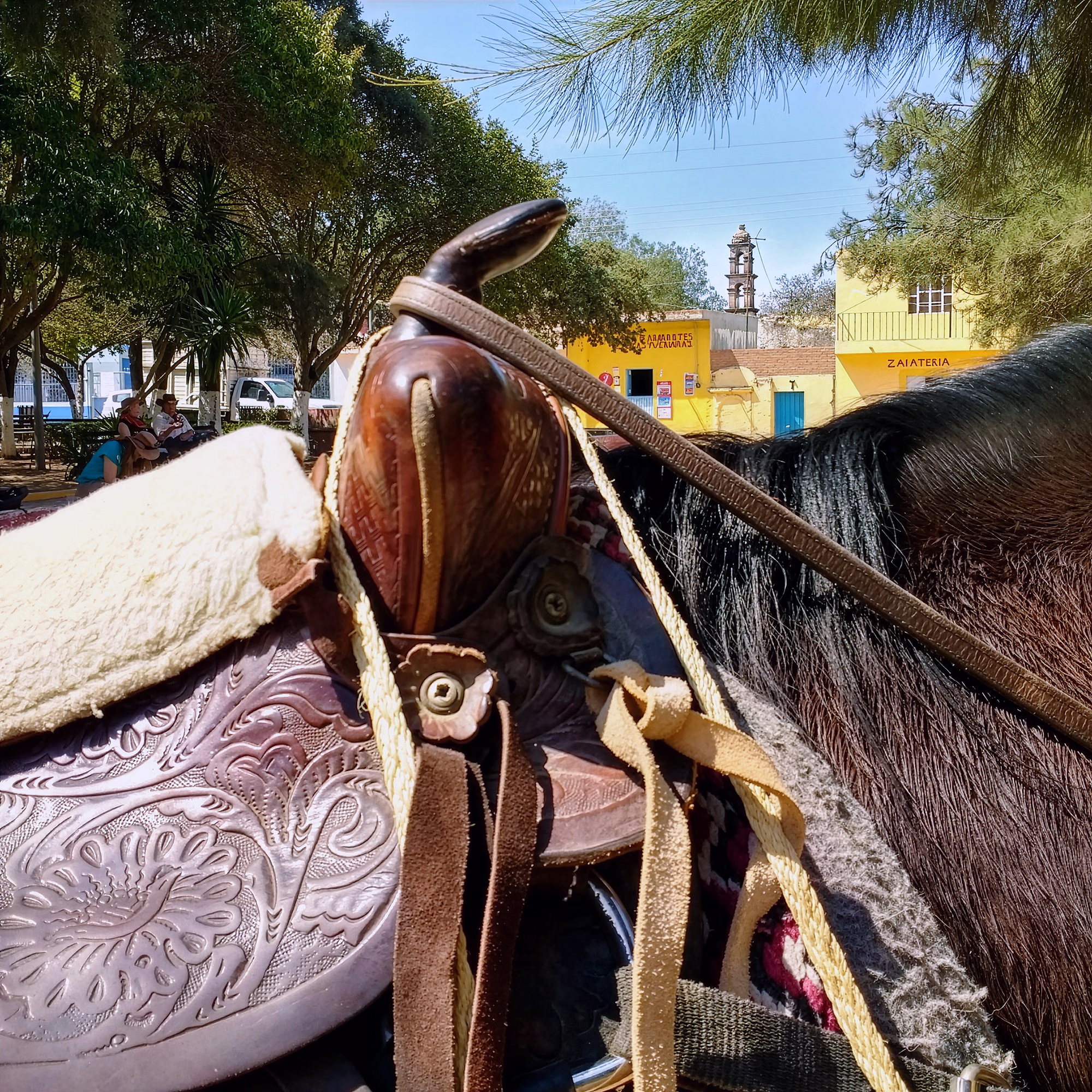 Gros plan sur une selle western en cuir.