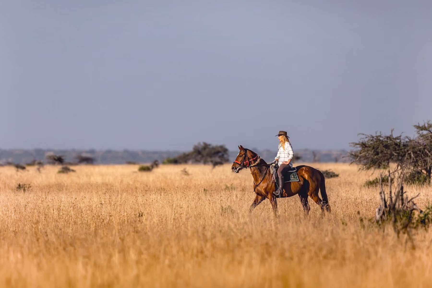 Une cavalière lors d’un safari équestre dans le bush kenyan.