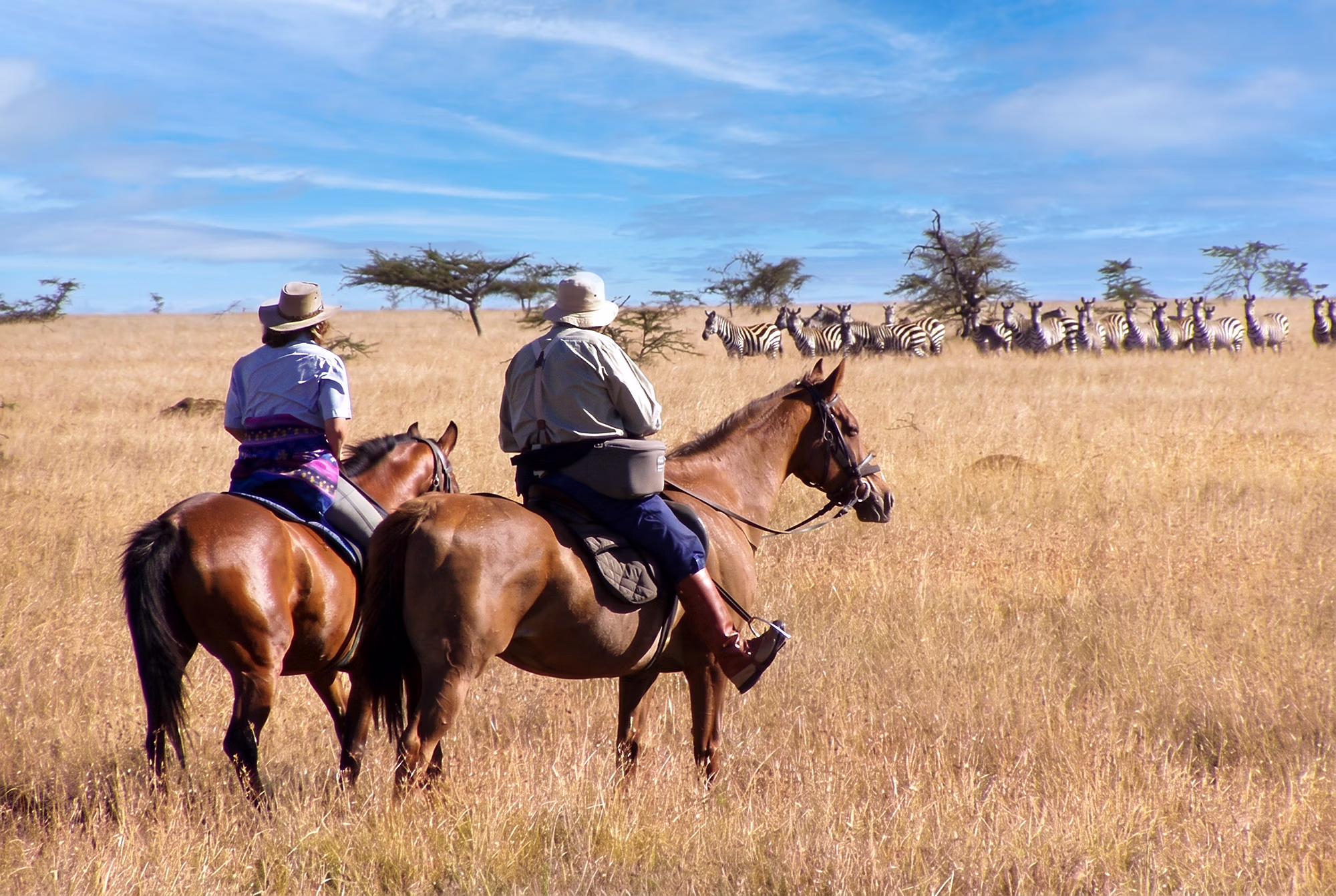 Deux cavaliers observent la faune sauvage du Kenya à cheval.
