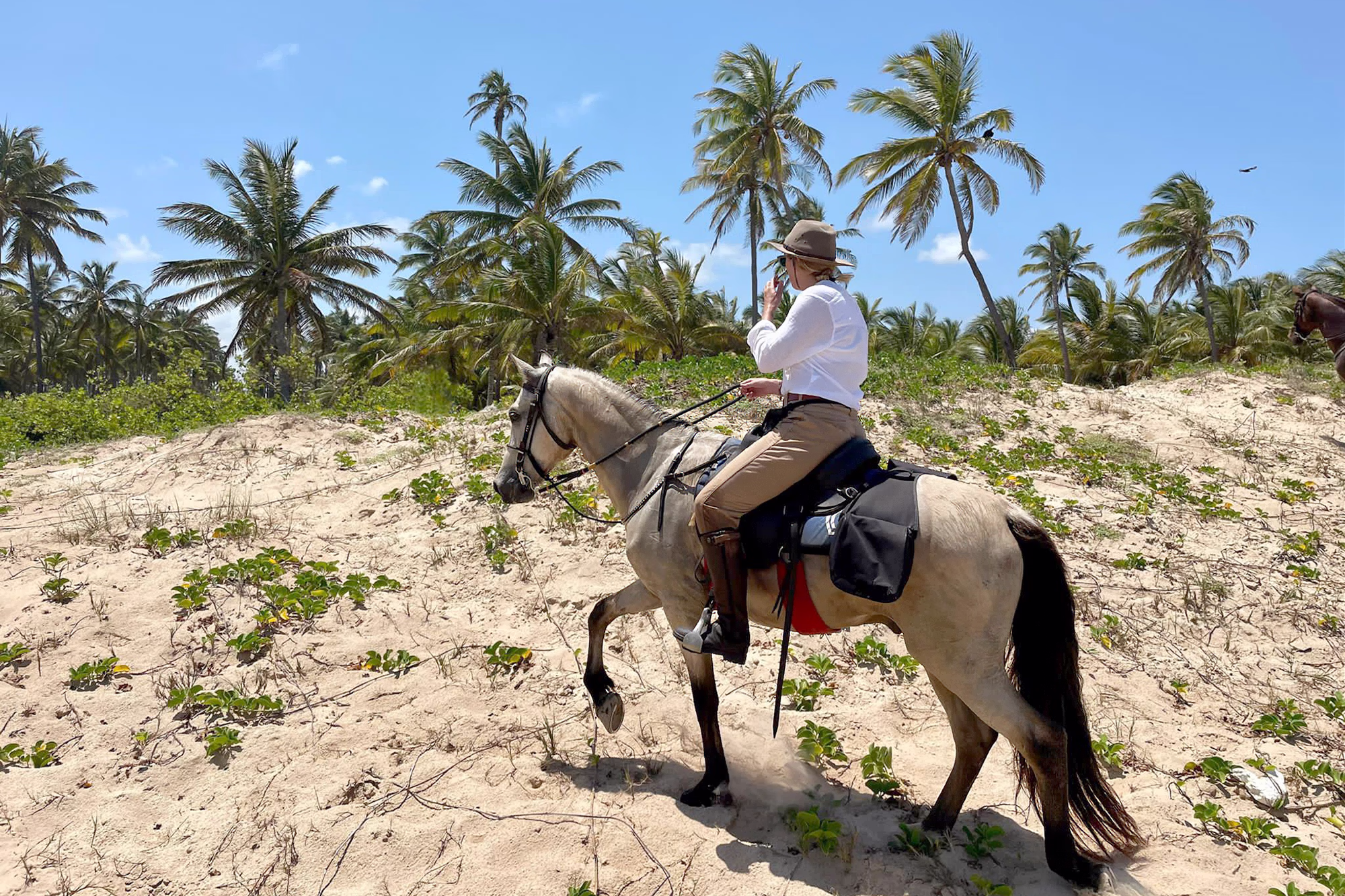 Un cavalier gravit une petite dune de sable.