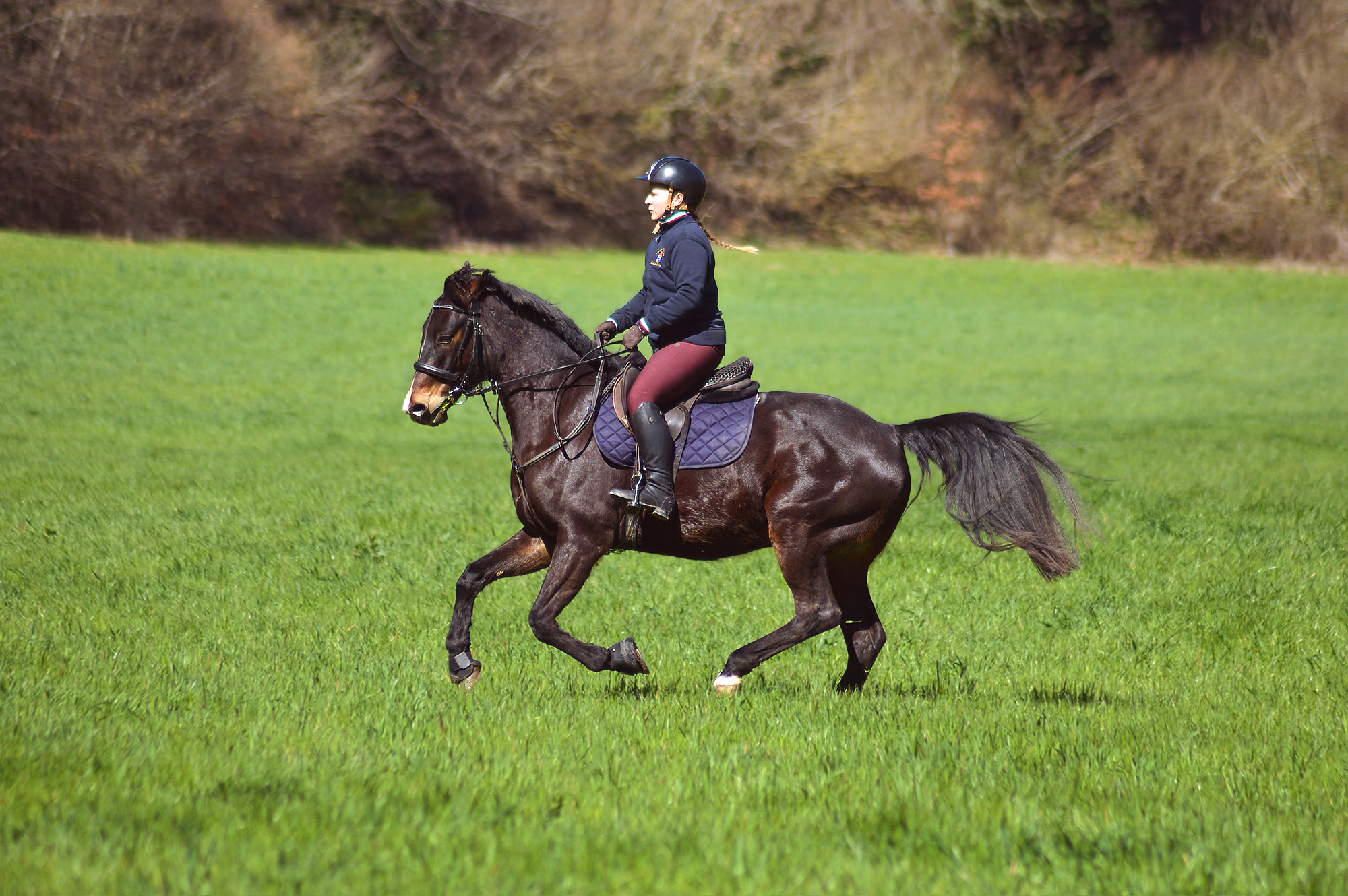 Un cavalier au galop sur un cheval noir dans un pré verdoyant en Toscane.