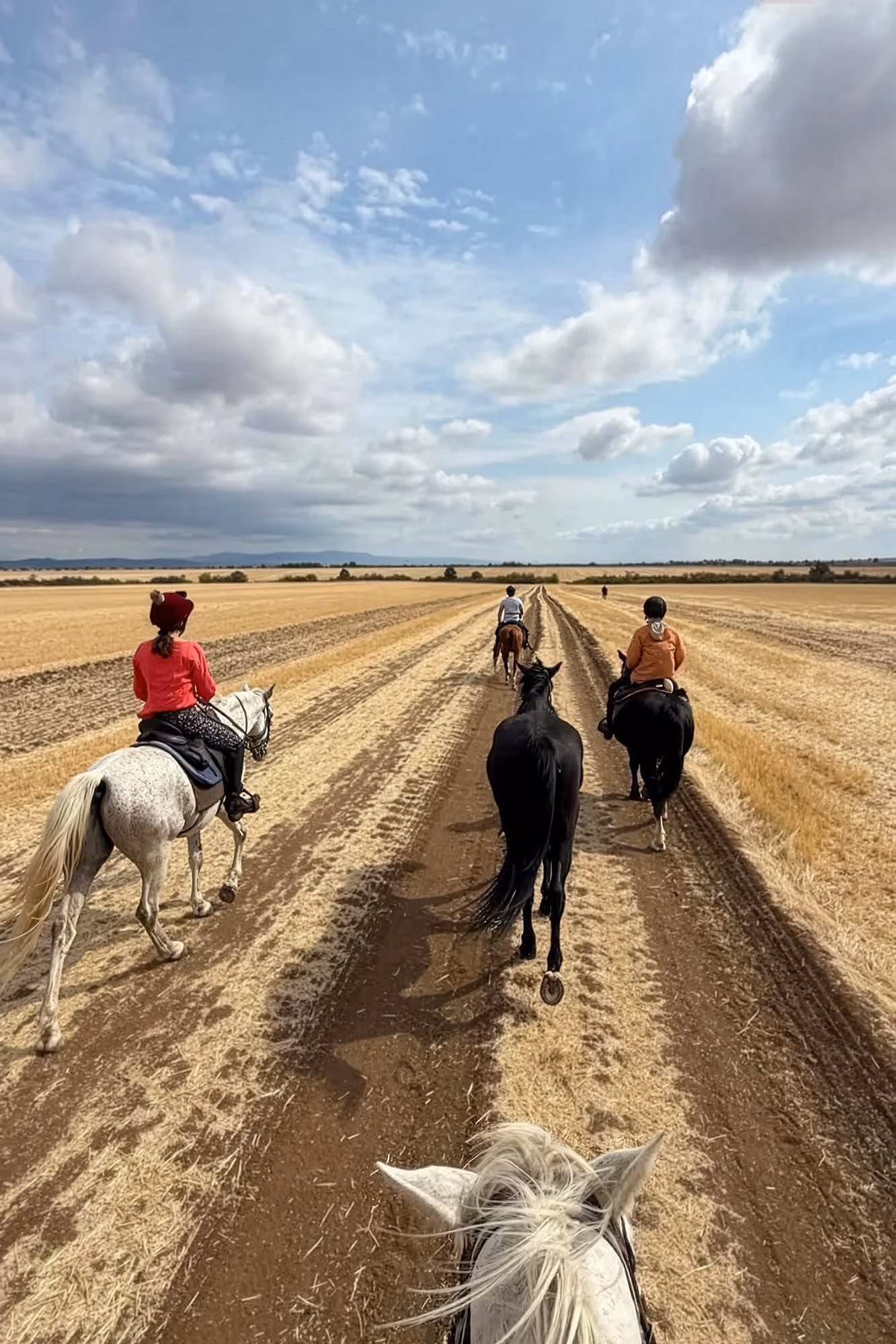 Petit groupe de cavaliers empruntant un chemin agricole à travers un champ de maïs brun fraîchement récolté en Bulgarie.