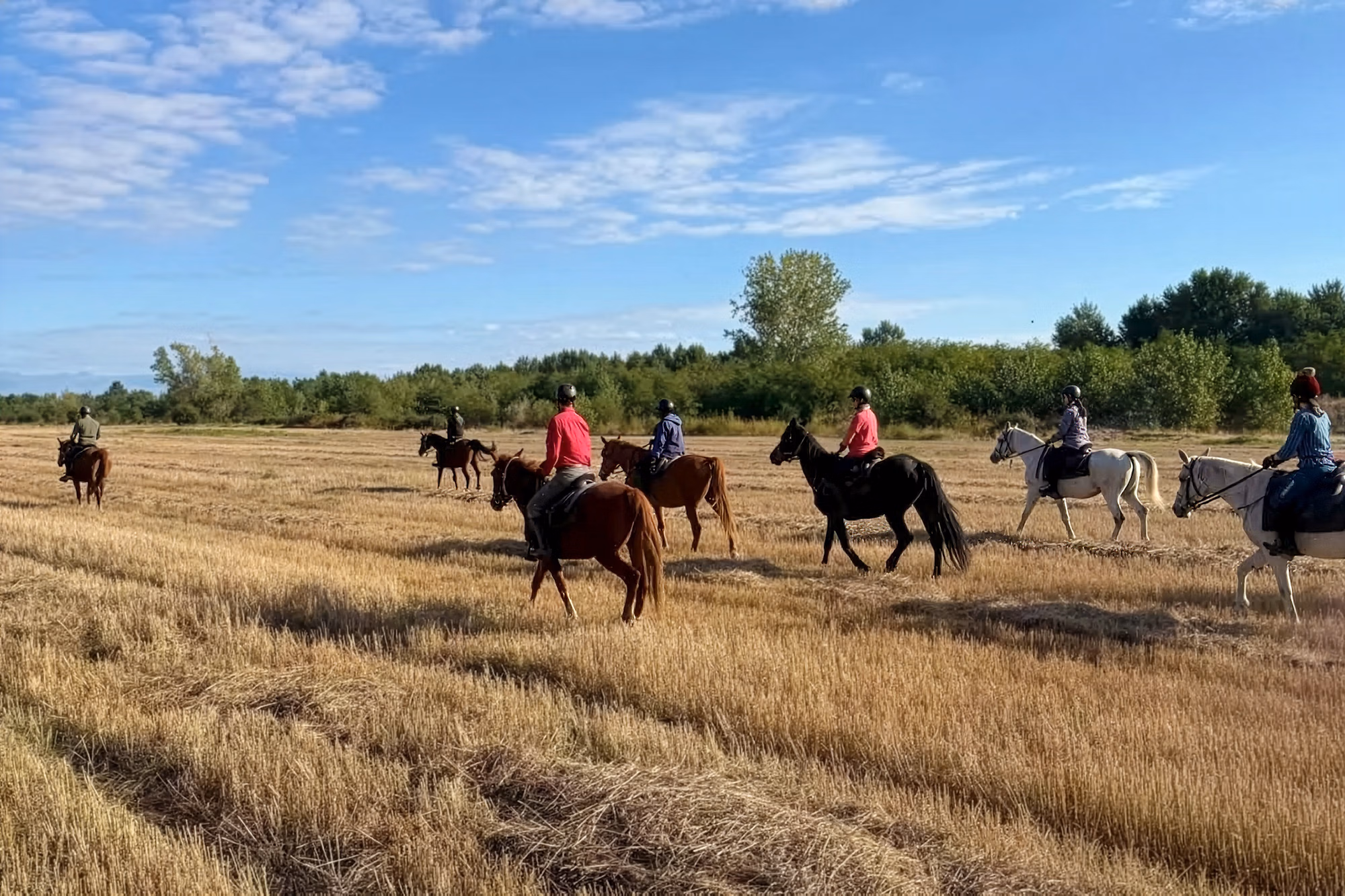 Vue de dos d’un petit groupe de cavaliers à cheval traversant un vaste champ ouvert fraîchement récolté aux couleurs automnales.