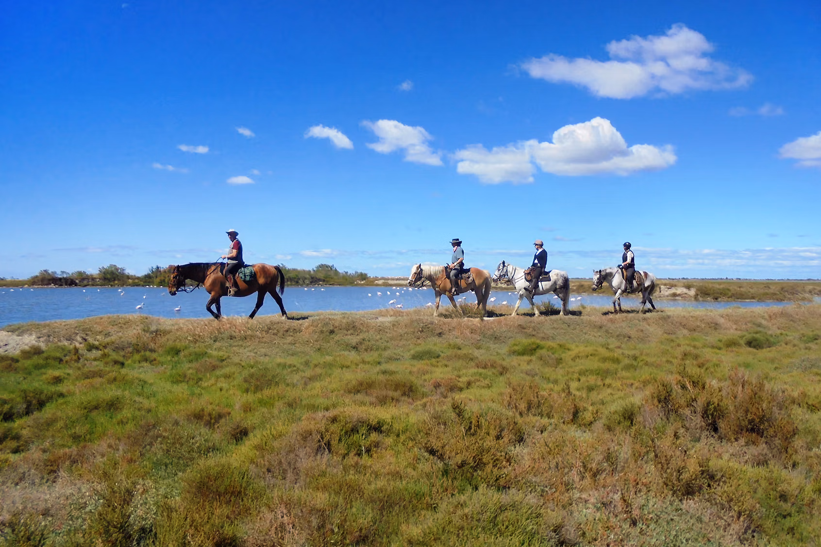 Scenery and group of riders near river South of France