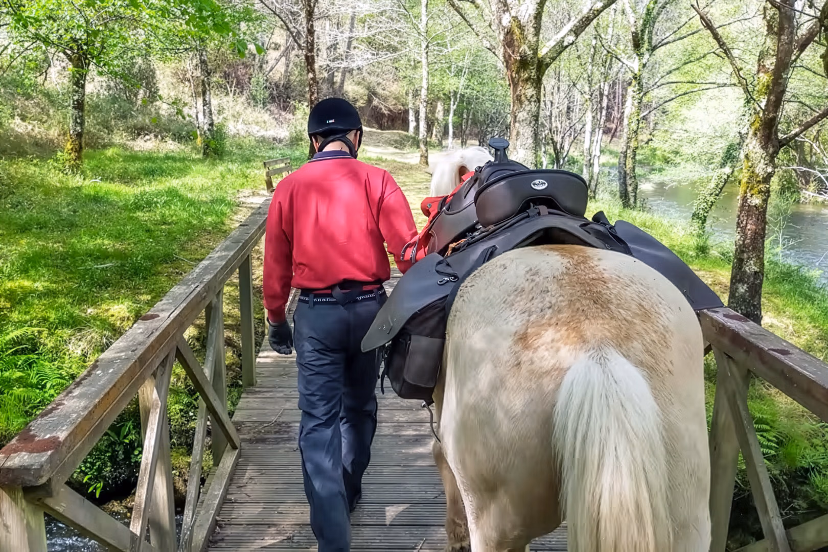 Un cavalier à pied guide son cheval avec précaution sur un pont rustique en bois au cœur d’une forêt dense.