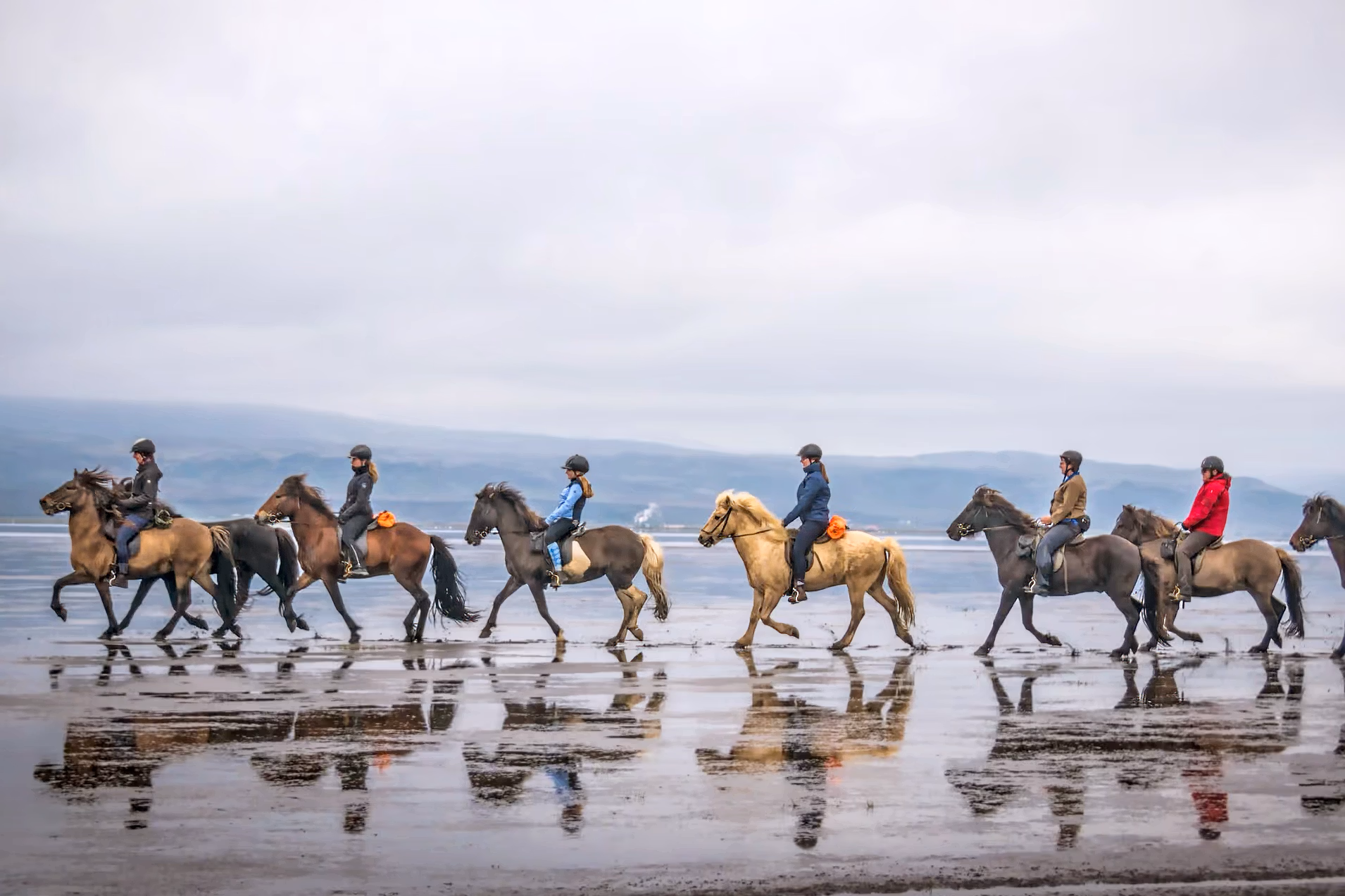 Cavaliers sur des chevaux islandais traversant une plage de sable humide avec leurs reflets dans l’eau lors d’un voyage à cheval en Islande.